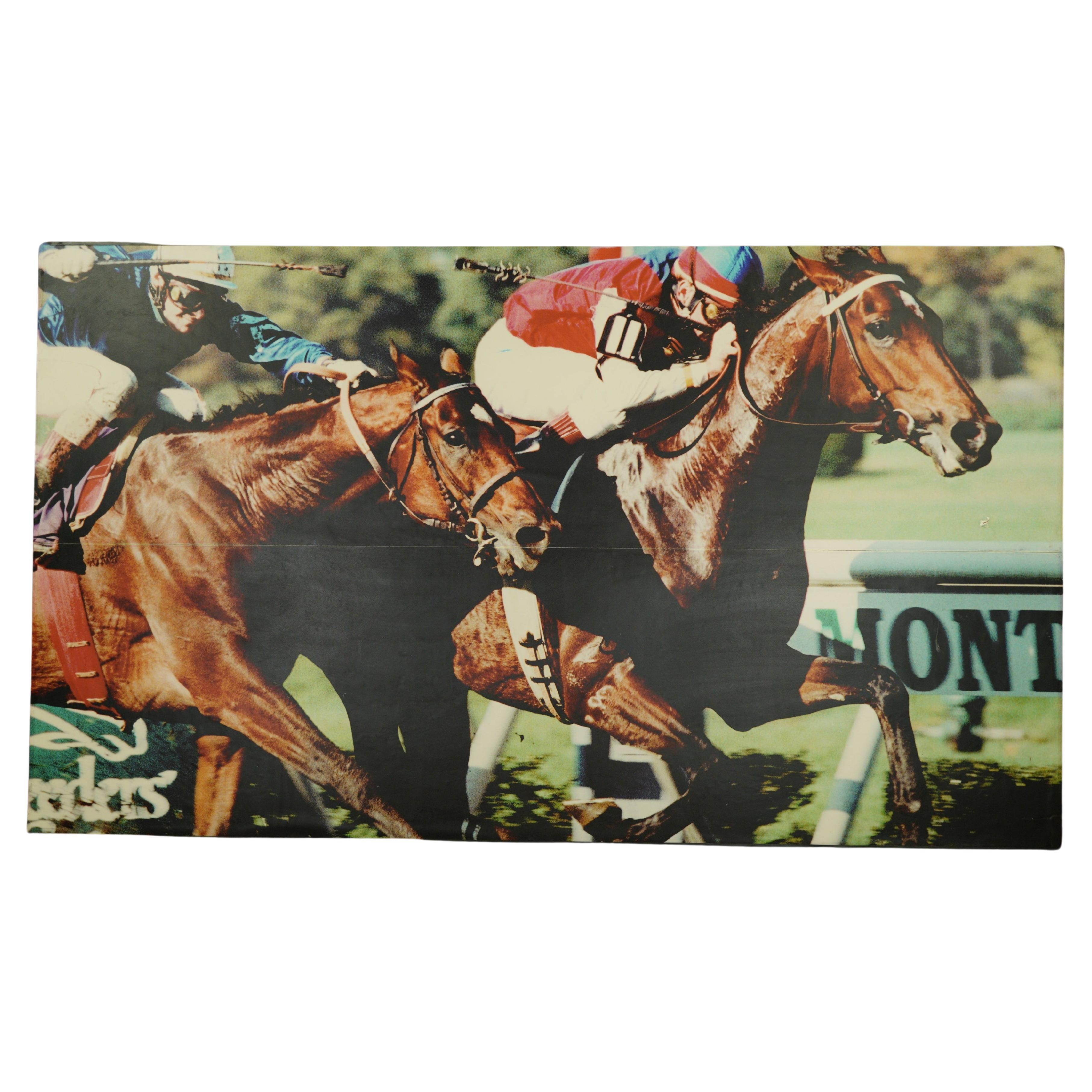 Belmont Park Pferd Rennbahn Vinyl Druck im Angebot