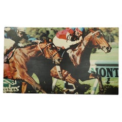 Belmont Park Horse Racetrack Vinyl Print