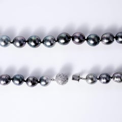 Belrose Jewelers – Aufsehenerregende 18,5-Zoll-Halskette aus Tahiti-Perlen mit Diamantverschluss aus Platin