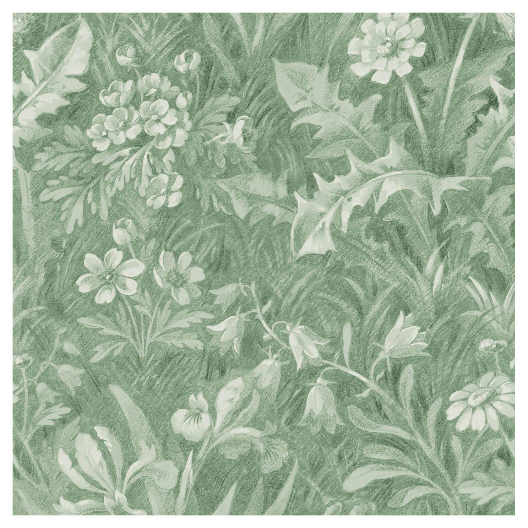 Papier peint BELTANE - Grass