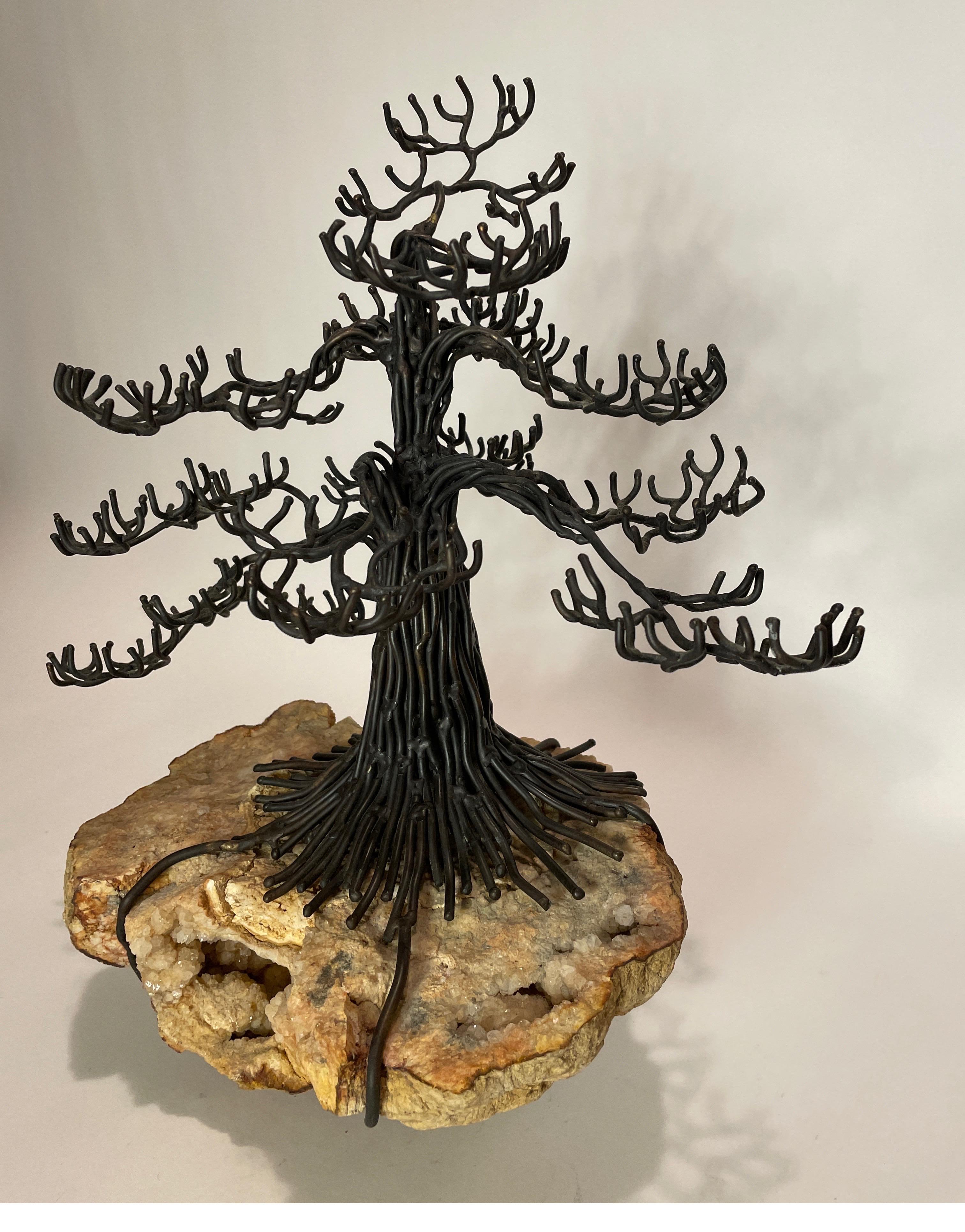 bonsai wood ball for sale