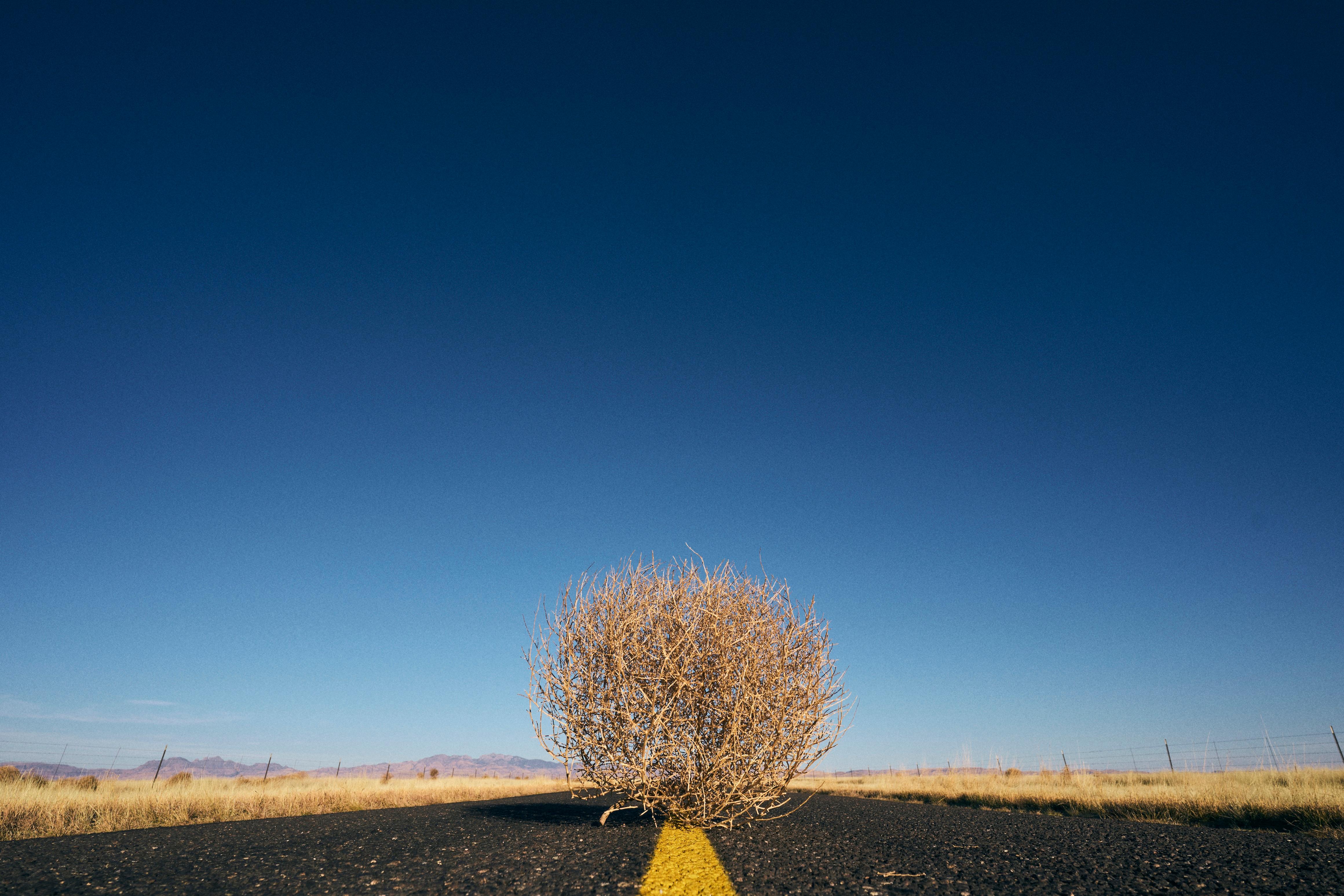 « Cross Country 0138 » – Photographie de paysage, 36" x 44", édition limitée « Ed of 12 » de Ben Cope