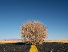 "Cross Country 0138" Photographie de paysage 36" x 44" Edition de 12 par Ben Cope