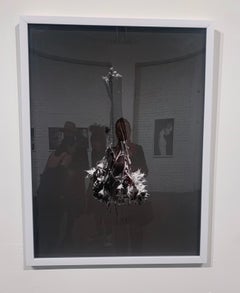 "Suspended Flora" Photography 24" x 18" inch Edition 1/20 by Ben Cope