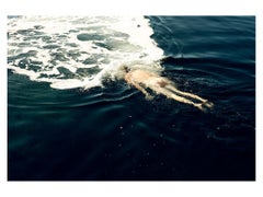 Sin título (nº 0428) Fotografía 36" x 44" Edición de 12 por Ben Cope