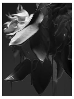 Photographie noire et blanche 40" x 30" pouces édition 1/12 par Ben Cope