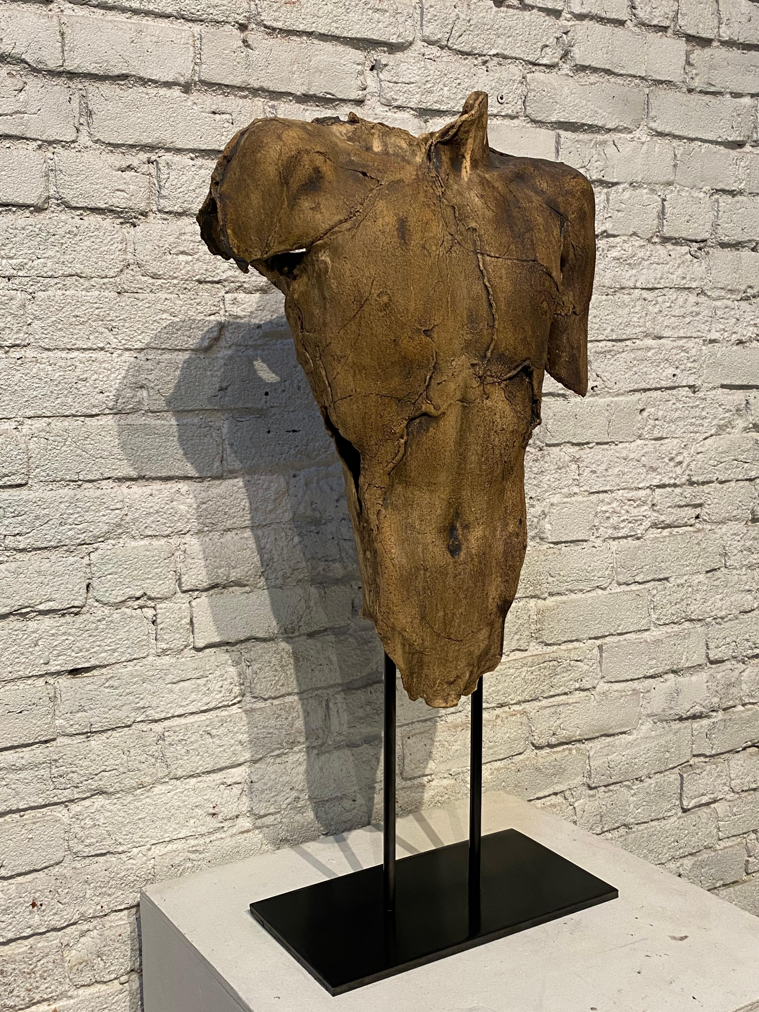 benjamin casto