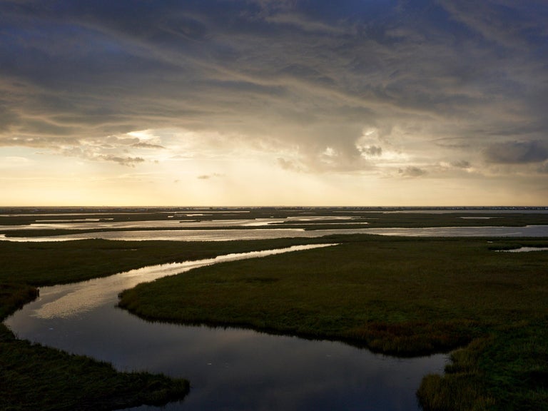 Ben Depp Cocodrie Weather For Sale at 1stDibs