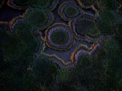 Isla Pelícano