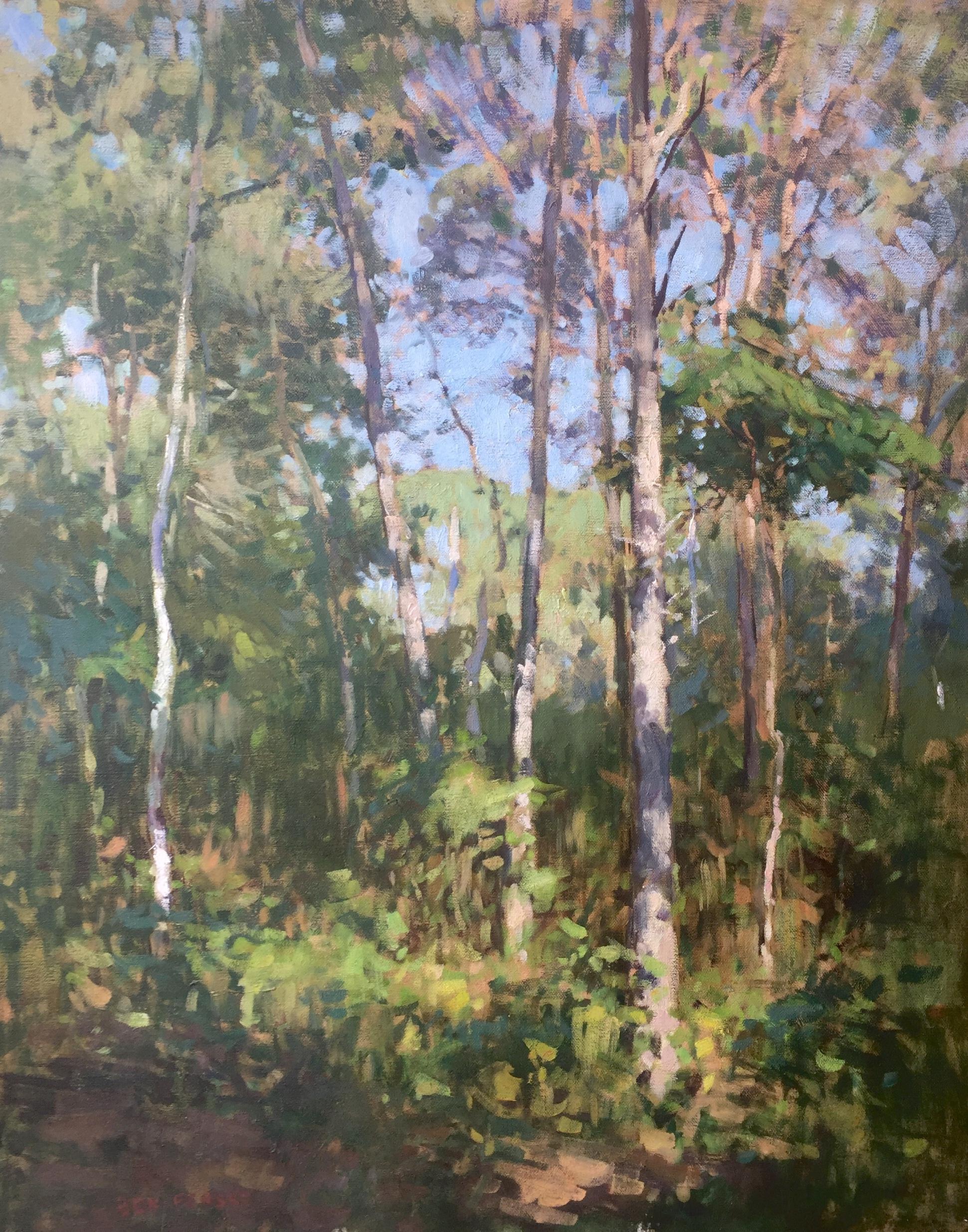 Ben Fenske Landscape Painting - Through the Trees