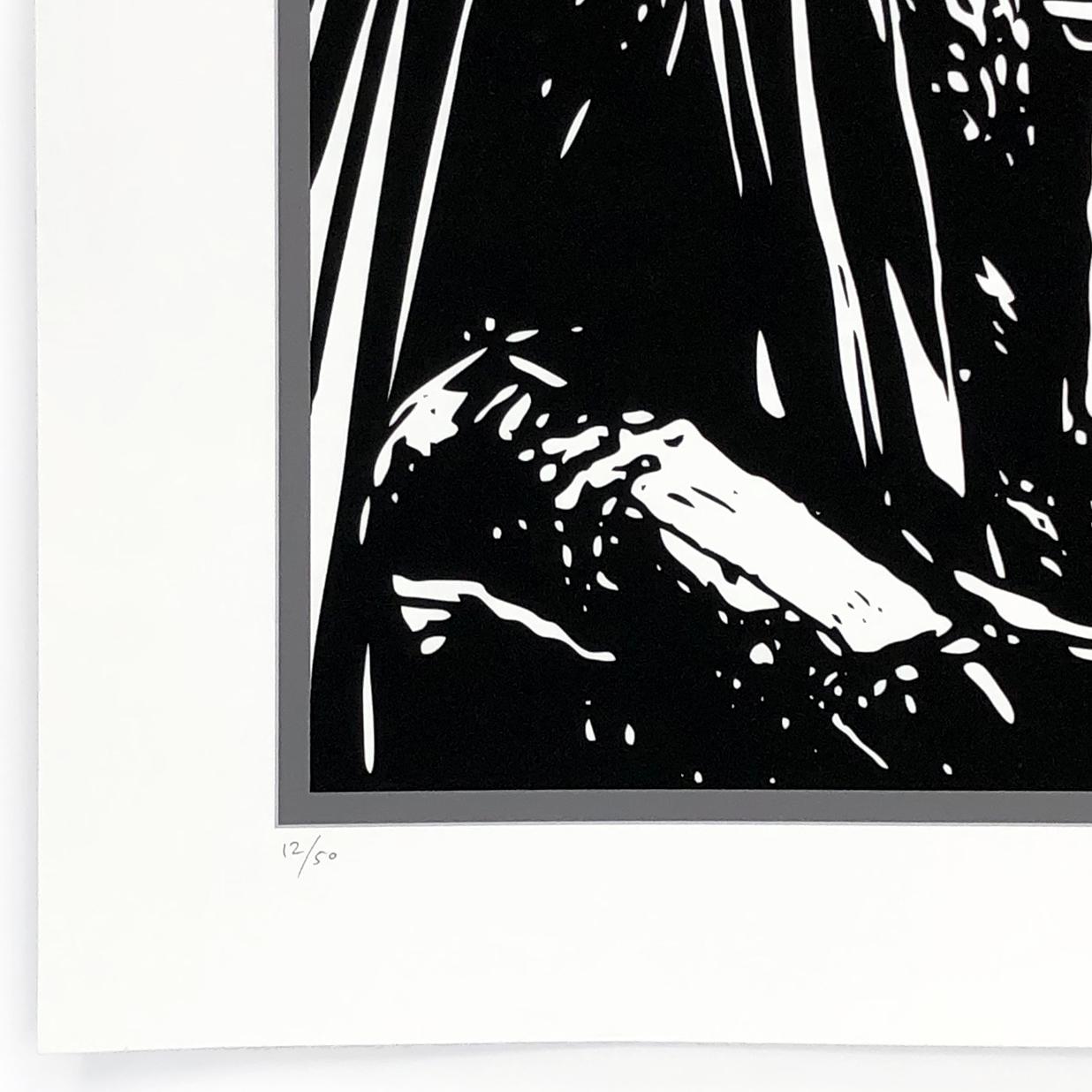 The Dark Side (handsignierter Siebdruck) – Print von Ben Frost