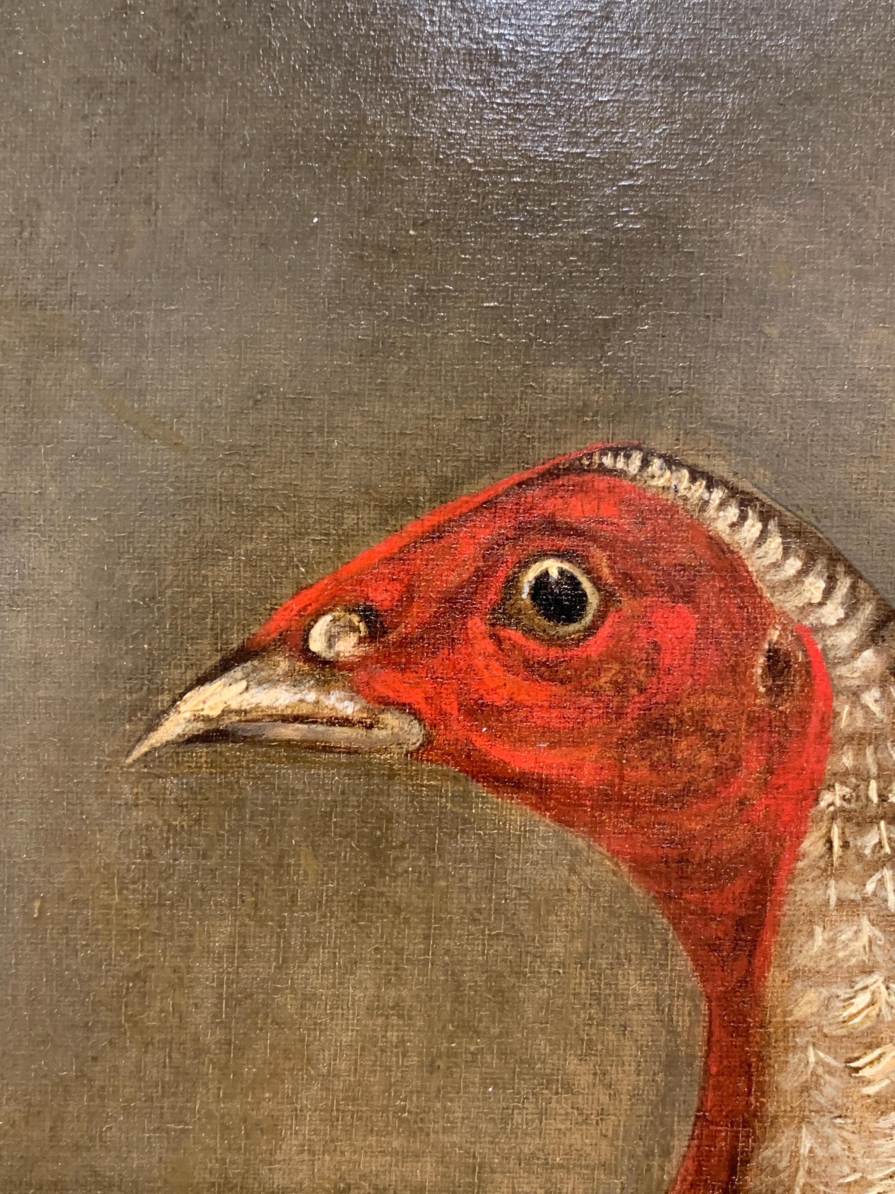 19th Century English portrait of a Fighting Game Cock, with Spurs - Brown Animal Painting by Ben Marshall
