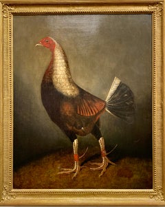 19th Century English portrait of a Fighting Game Cock, with Spurs