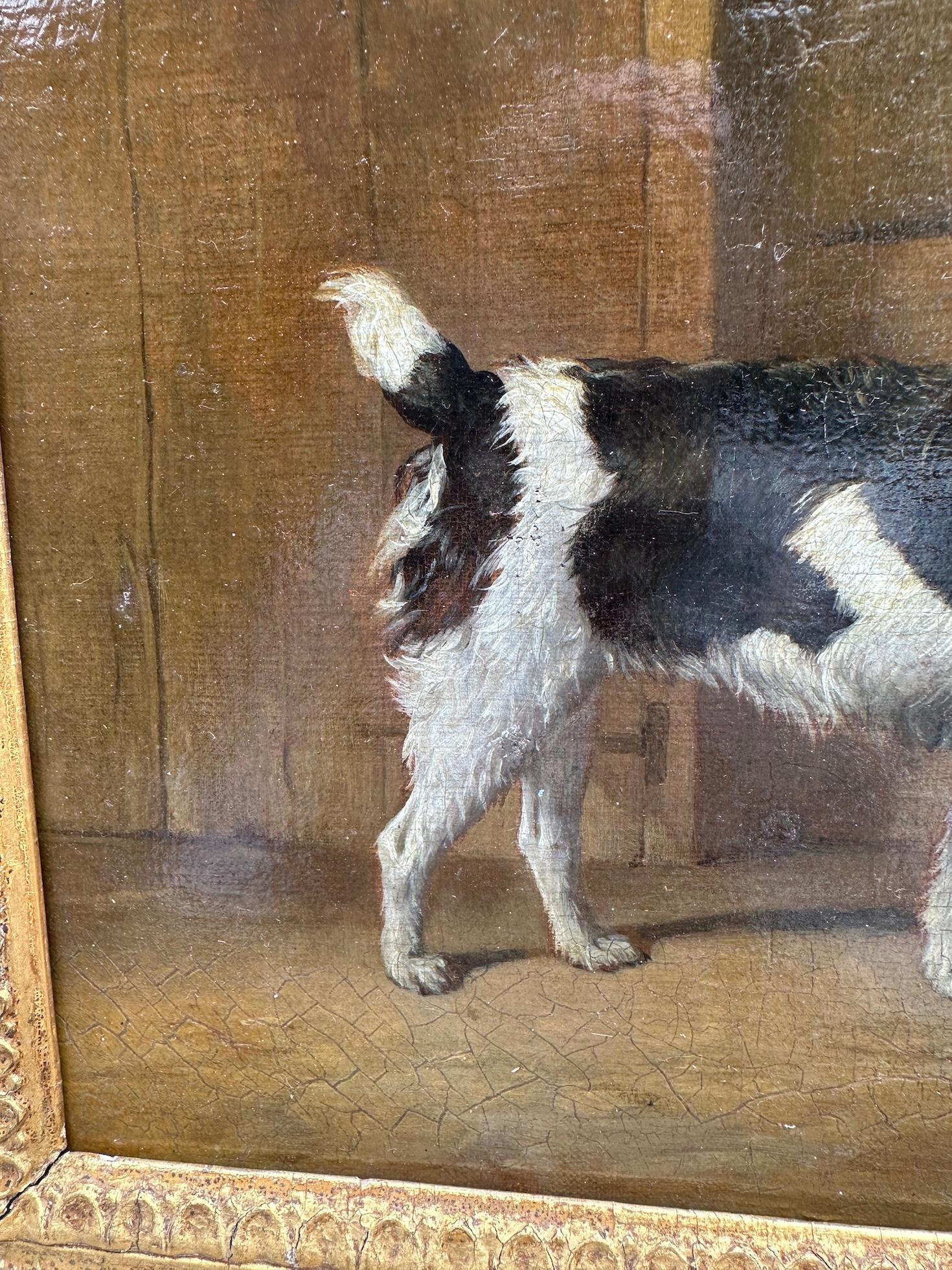 19th century English portrait of a terrier dog in an interior For Sale 1