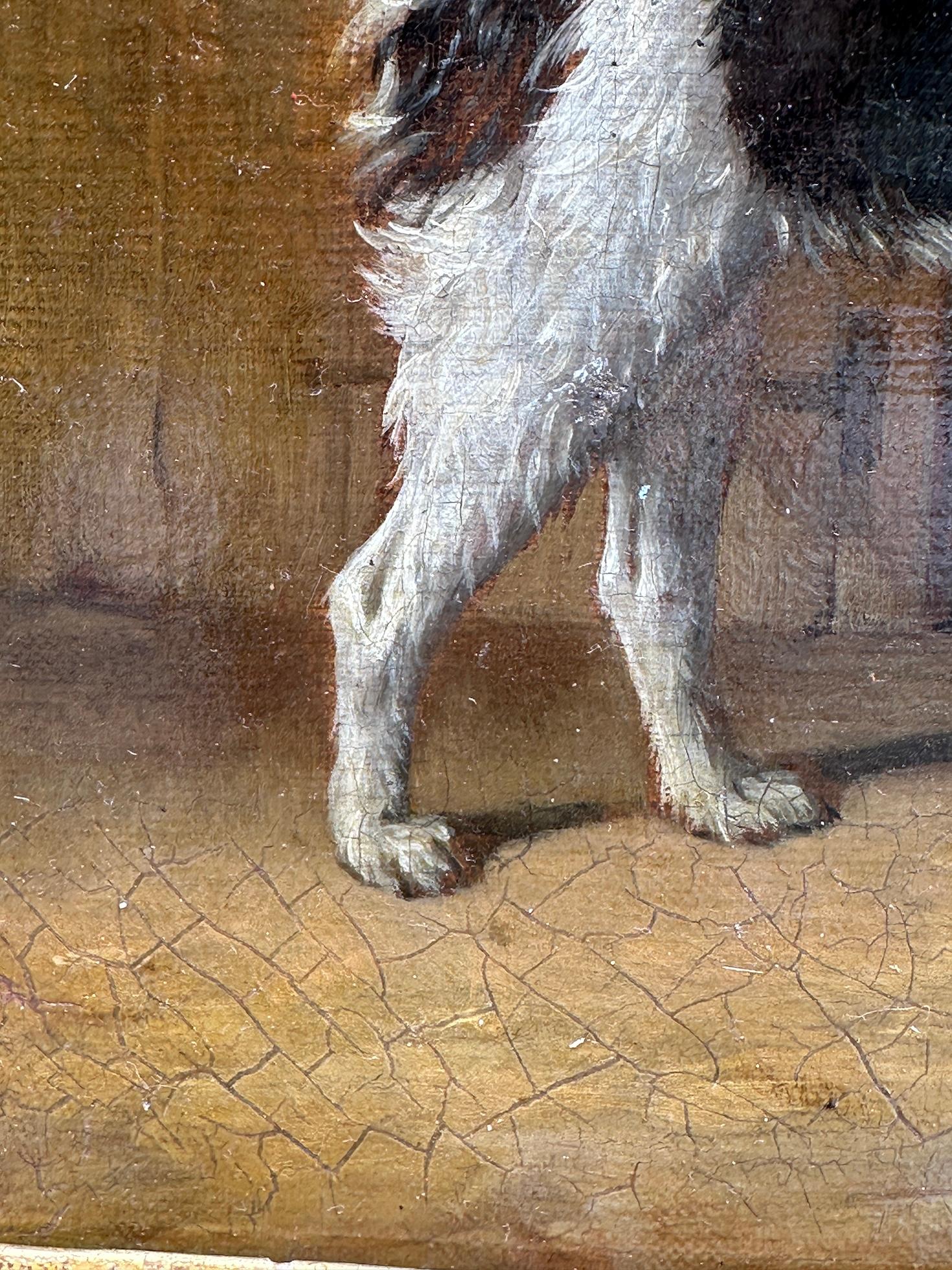 19th century English portrait of a terrier dog in an interior For Sale 3