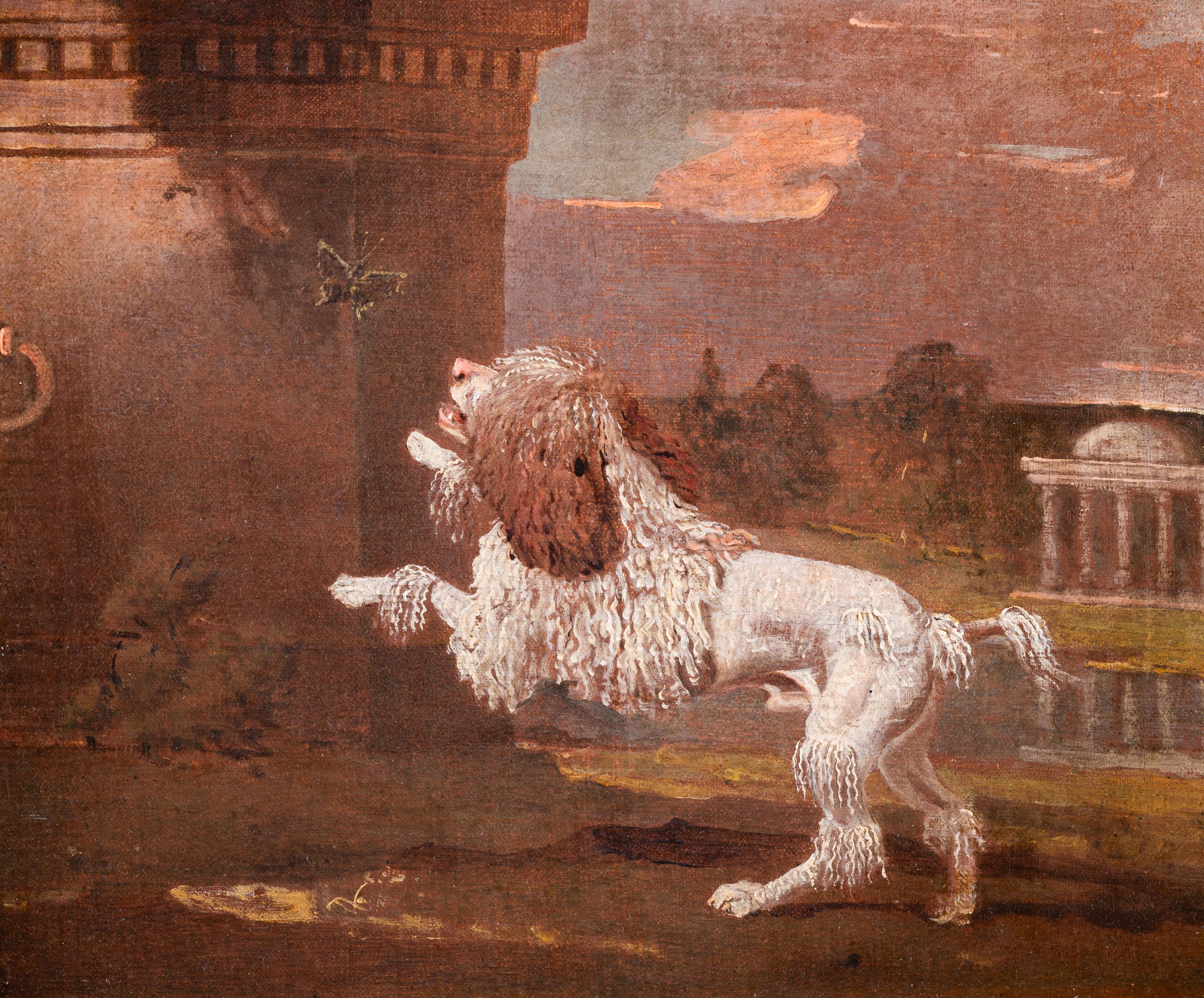 A poodle chasing a butterfly - Painting by Ben Marshall