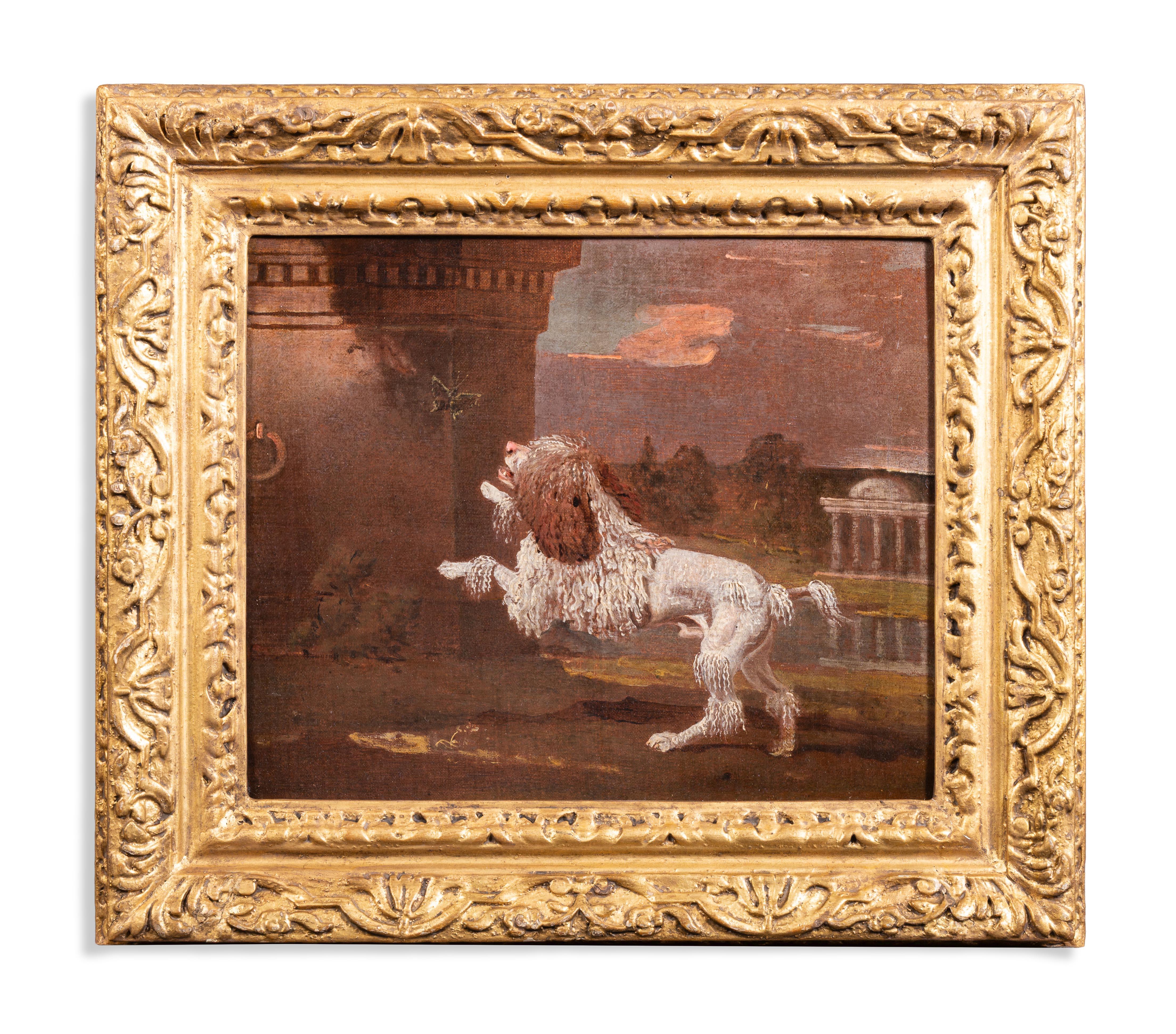 Ben Marshall Animal Painting - A poodle chasing a butterfly