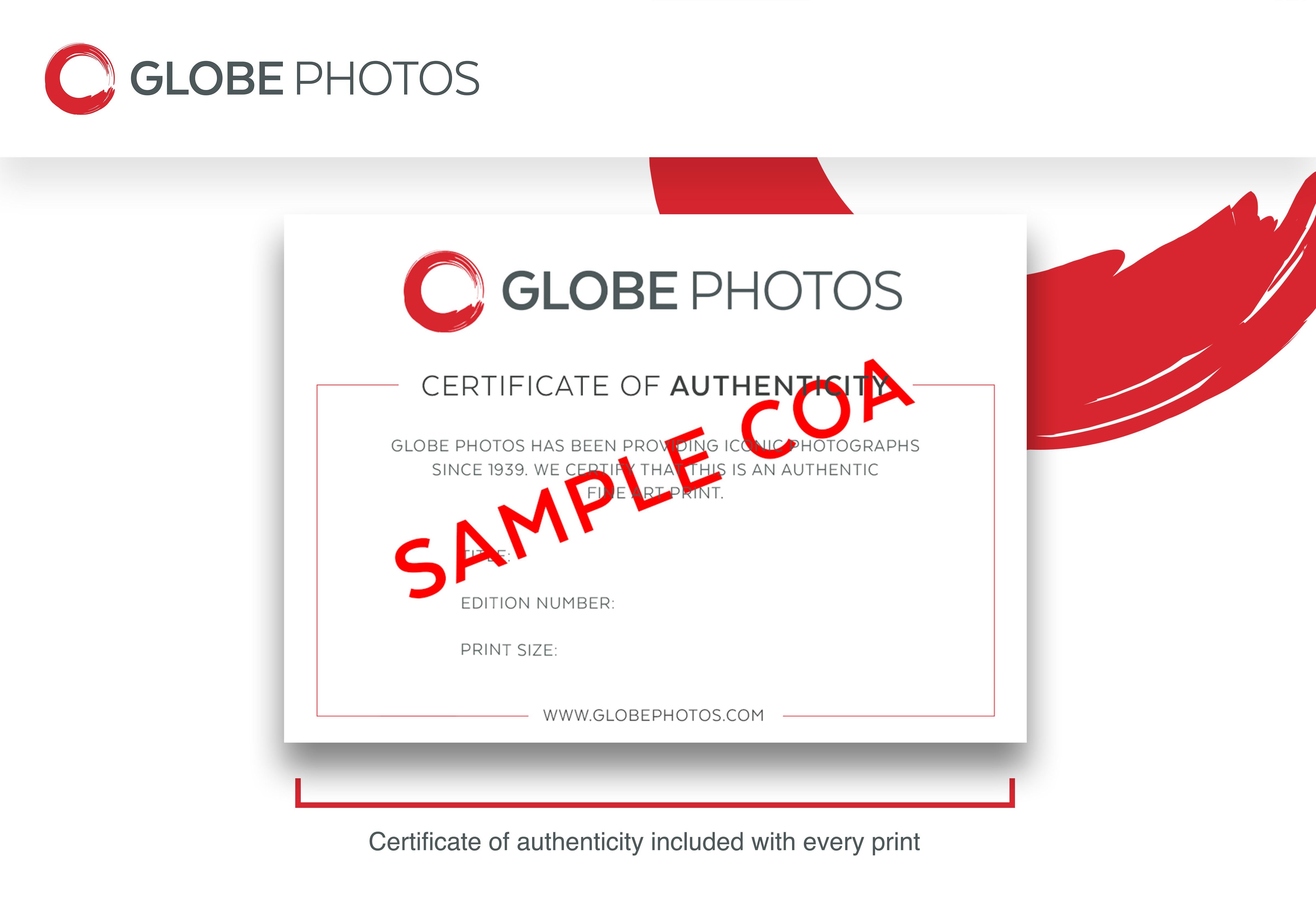 Retro 1960s photograph featuring an abstract shot of scientific apparatus in a chemistry lab.
 
This listing is for a limited edition archival print.

What's included:
- Limited Edition Archival Print
- Numbered Certificate of Authenticity

Sizes