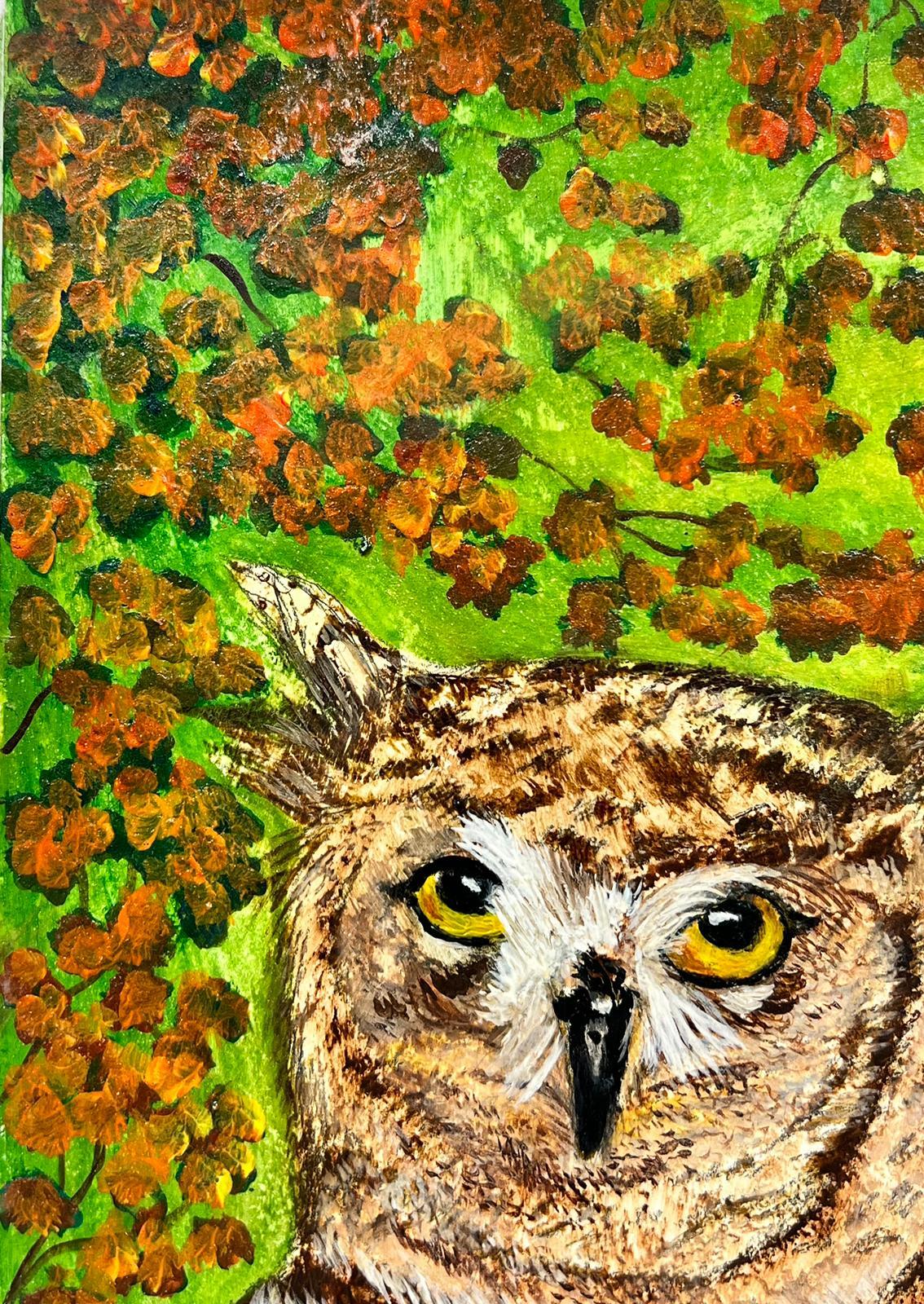 brown owl paint