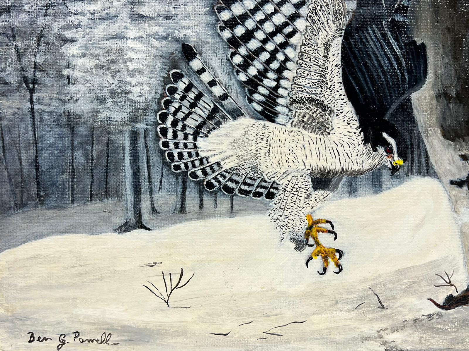 Contemporary British Acrylic Painting Northern Goshawk In The Snow For Sale 1