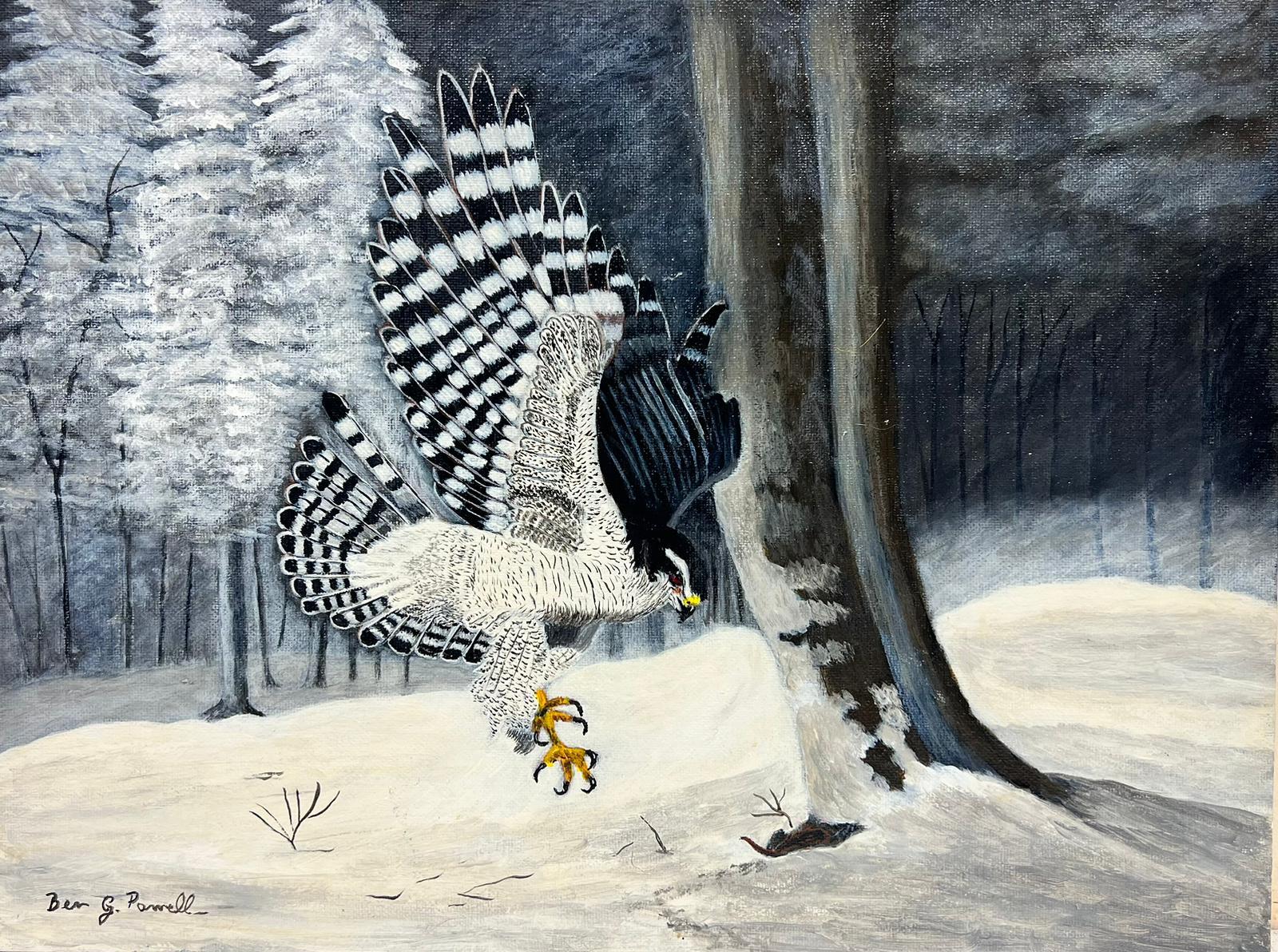 Ben Powell Landscape Painting - Contemporary British Acrylic Painting Northern Goshawk In The Snow