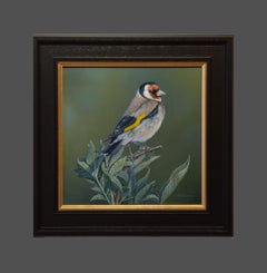 'Goldfinch Study' Painting of a english small bird, red, yellow & green