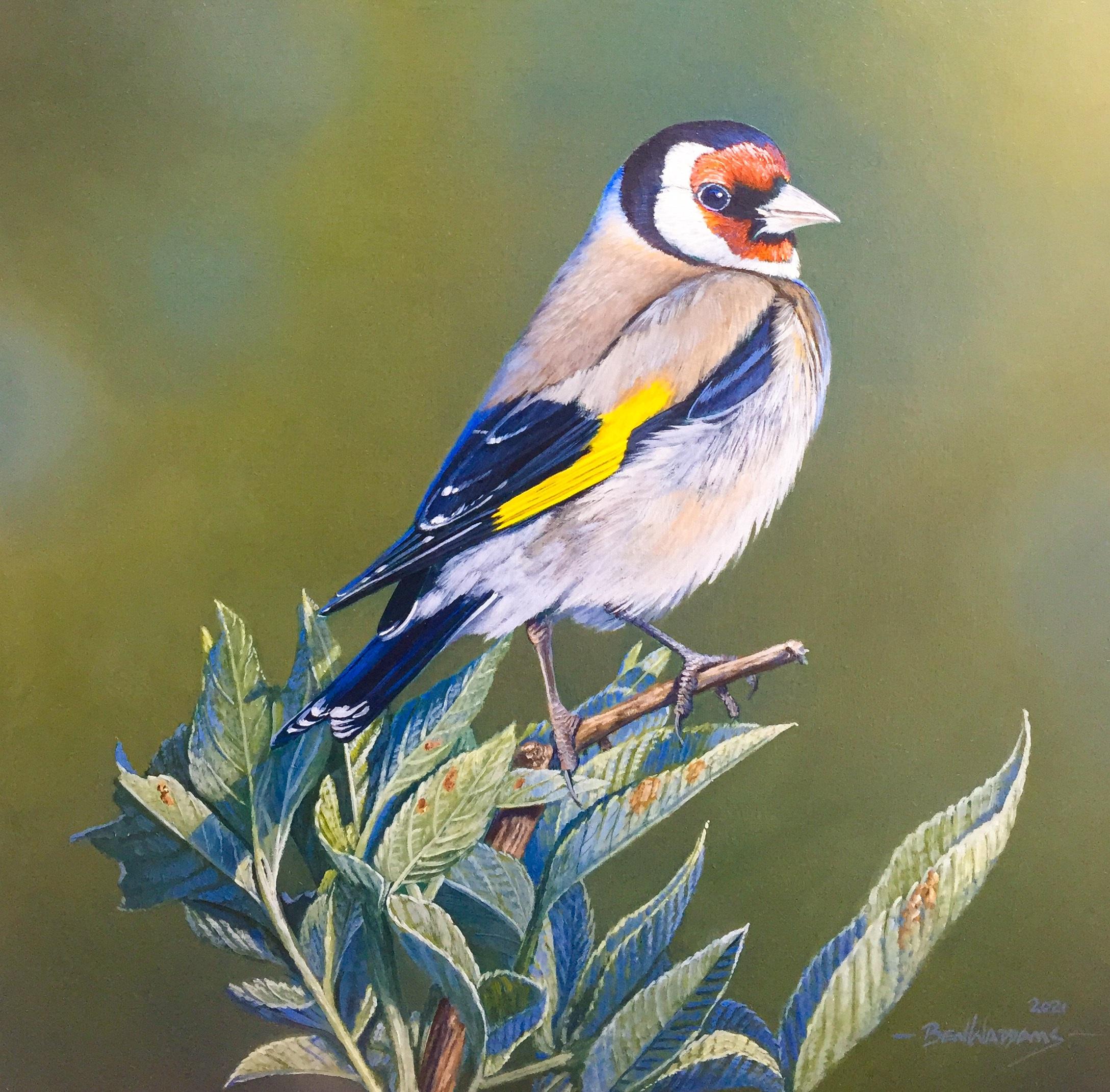 „Goldfinch Study“ – Gemälde eines kleinen englischen Vogels in Rot, Gelb und Grün