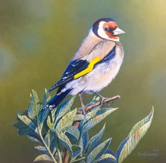 'Goldfinch Study' Painting of a english small bird, red, yellow & green