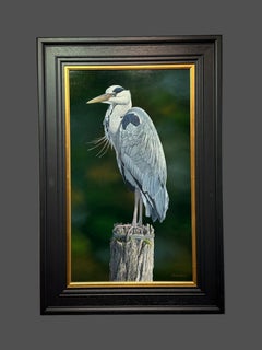 'Old Nog The Heron' Photorealist painting of a Heron, grey, black, green