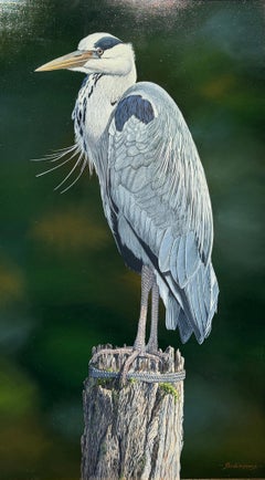 'Old Nog The Heron' Photorealist painting of a Heron, grey, black, green