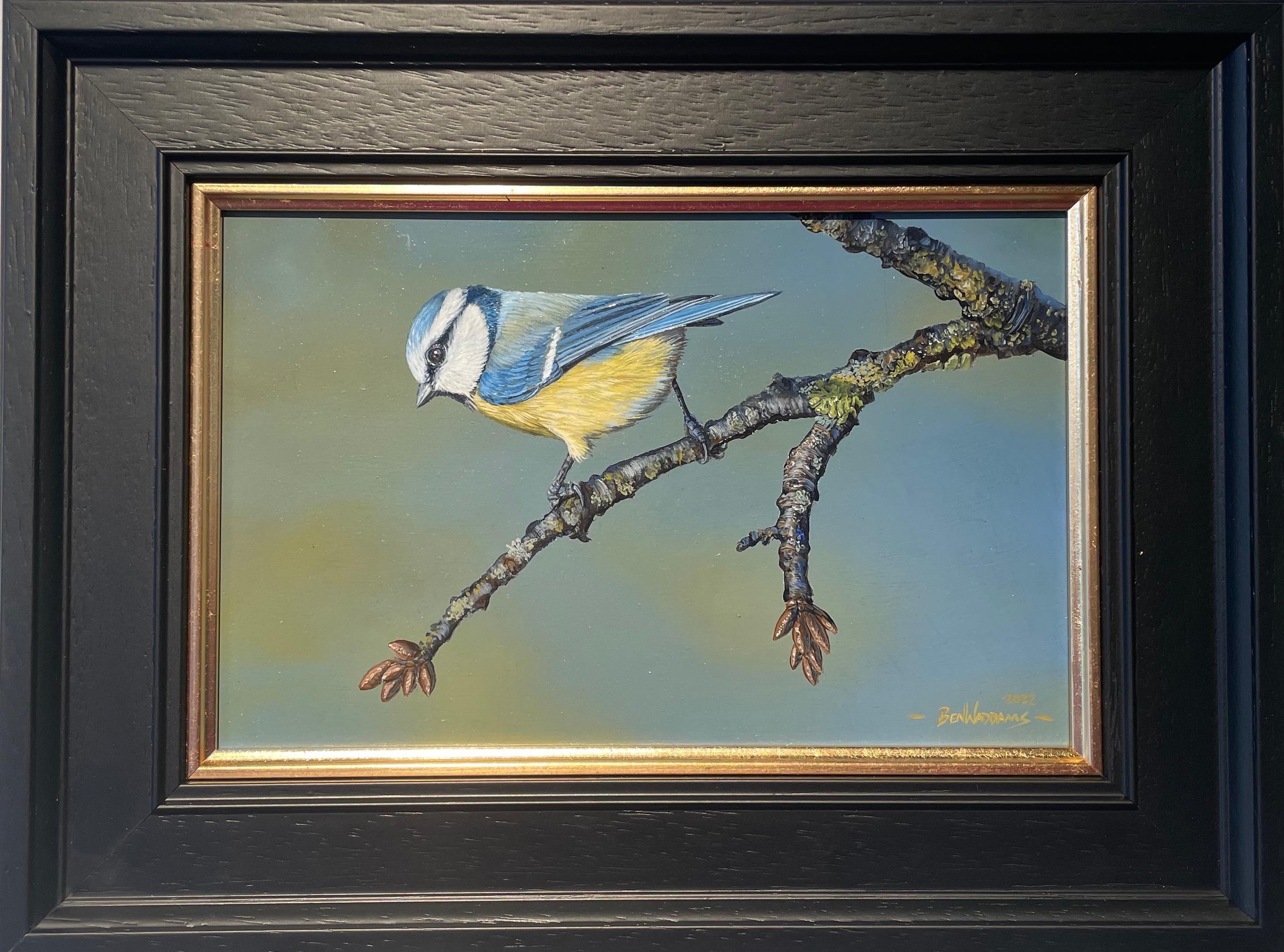 'Promise of Spring' by Ben Waddams is a Contemporary Realist Wildlife oil painting of an English Blue Tit bird on a branch. With such incredible detail you almost expect the bird to take flight!   

Ben Waddams is a British wildlife artist living