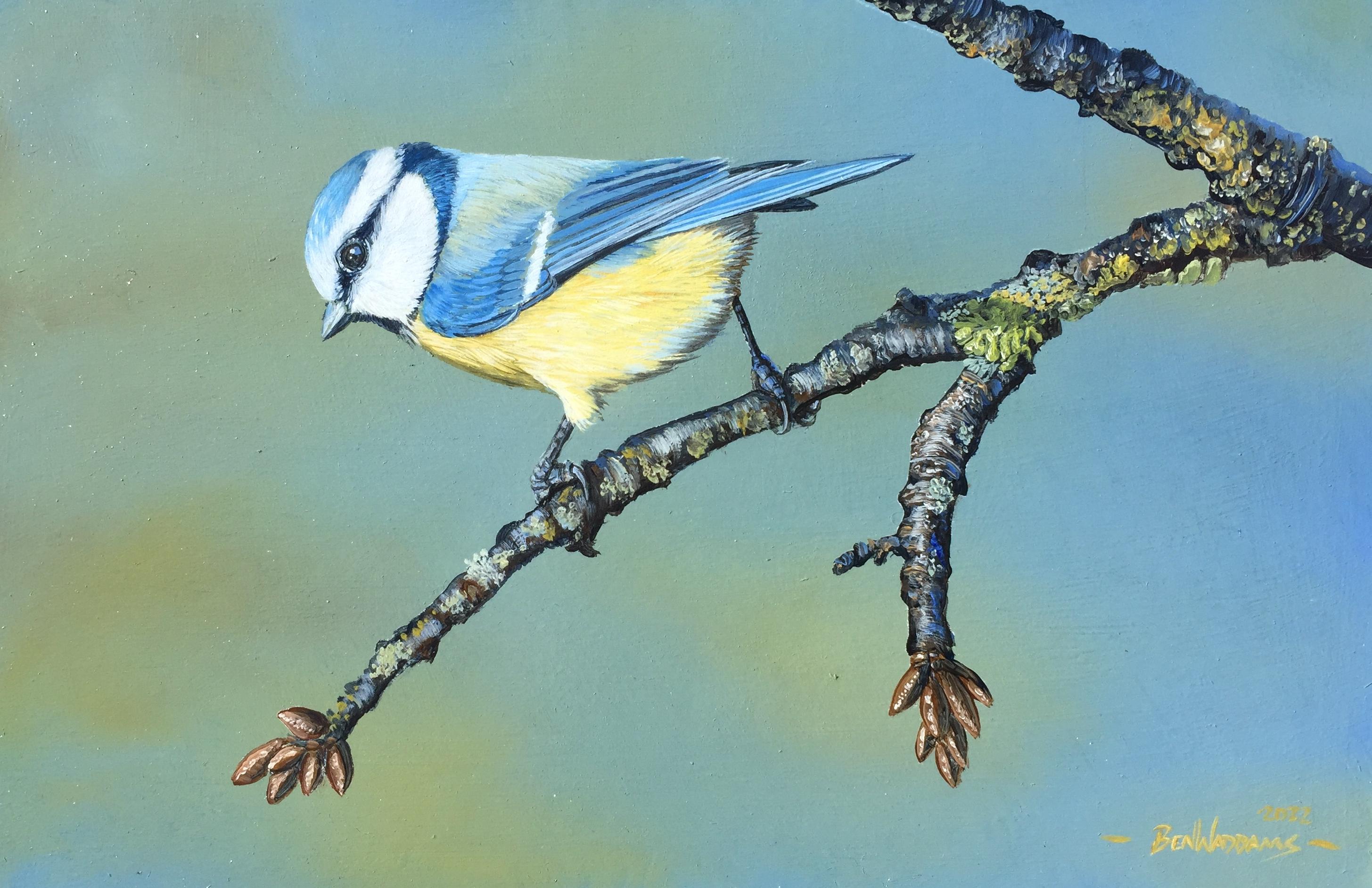Ben Waddams  Animal Painting – Frühlingsverheißung" Zeitgenössisches Gemälde eines Blaumeisenvogels auf einem Branch, gelb