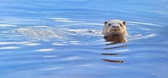 'Reflections' Photorealist painting of an otter surfacing, blue, white, grey