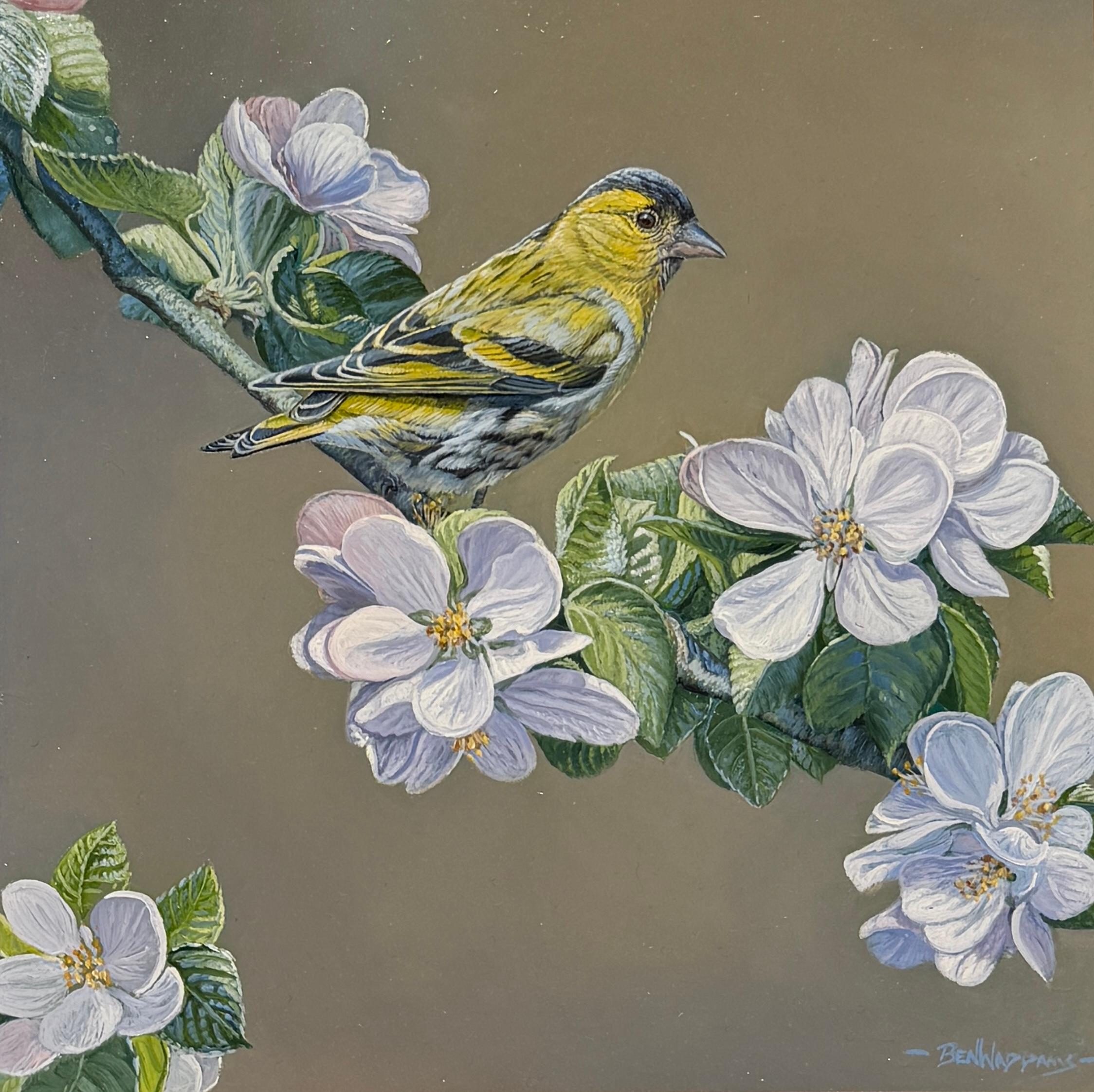 «Estudio de un jilguero» Pintura fotorrealista de un jilguero, en tonos amarillos, blancos y verdes