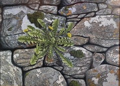 'Wallflower' Photorealist painting of Stoat peeking out of a wall, grey, green