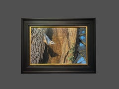 'Winter Nuthatch' Photorealist painting of a nuthatch in the snow
