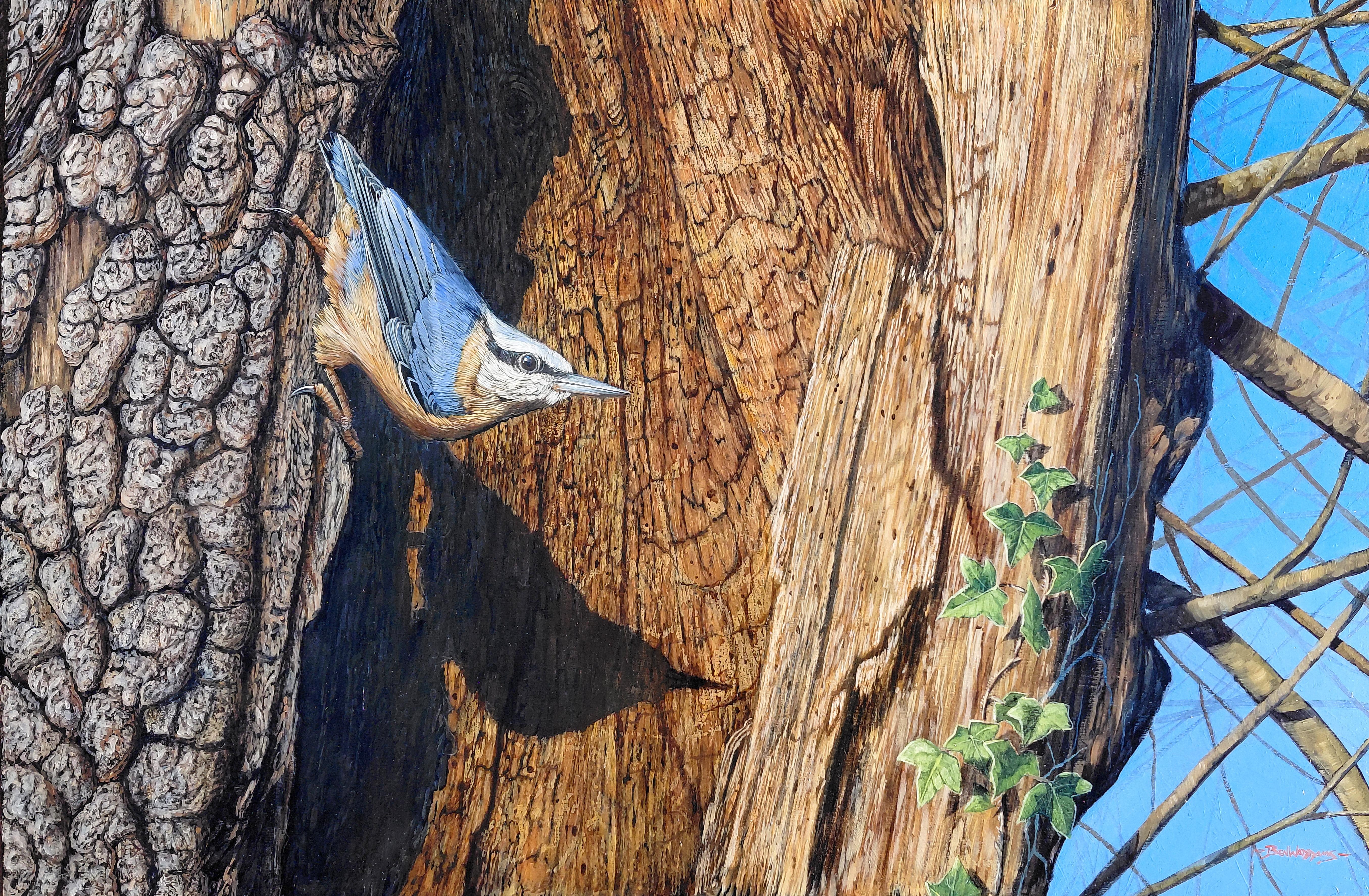 Ben Waddams  Still-Life Painting - 'Winter Nuthatch' Photorealist painting of a nuthatch in the snow