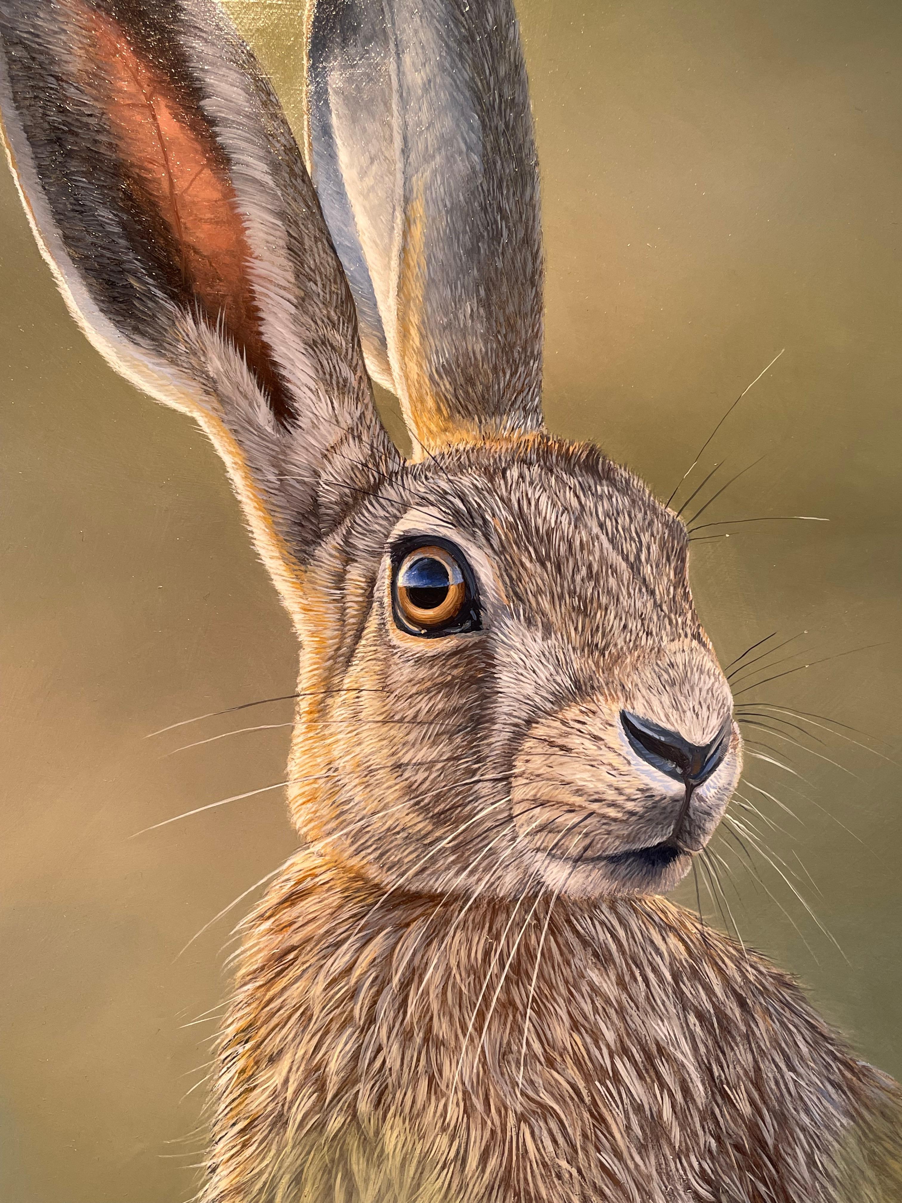 Alert Hare