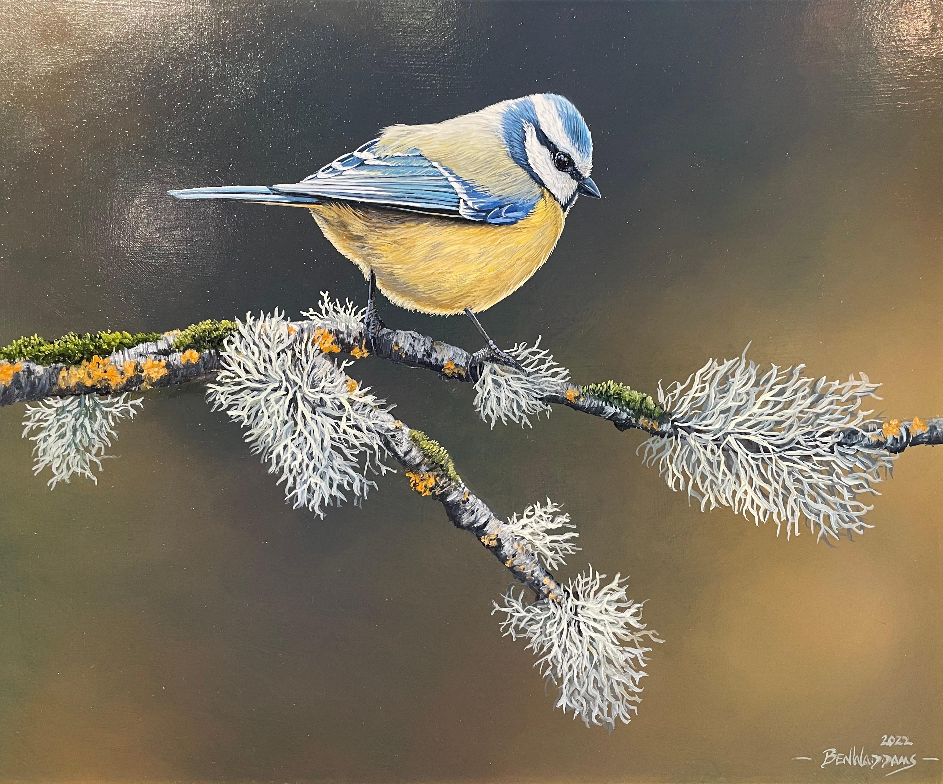 'Balancing Act' Contemporary Photorealist painting of Blue Tit bird in the wild - Painting by Ben Waddams