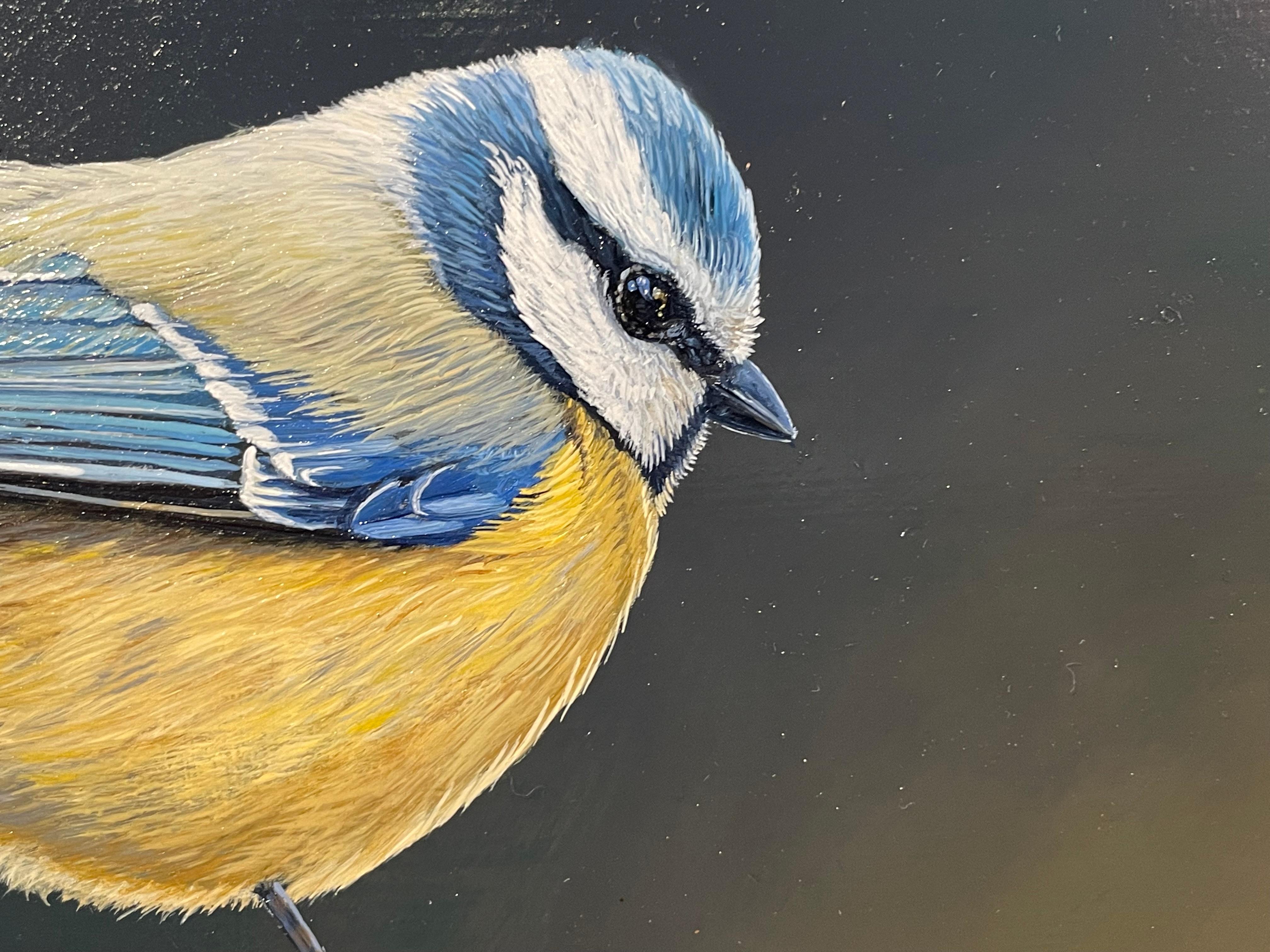 'Balancing Act' Contemporary Photorealist painting of Blue Tit bird in the wild - Black Animal Painting by Ben Waddams