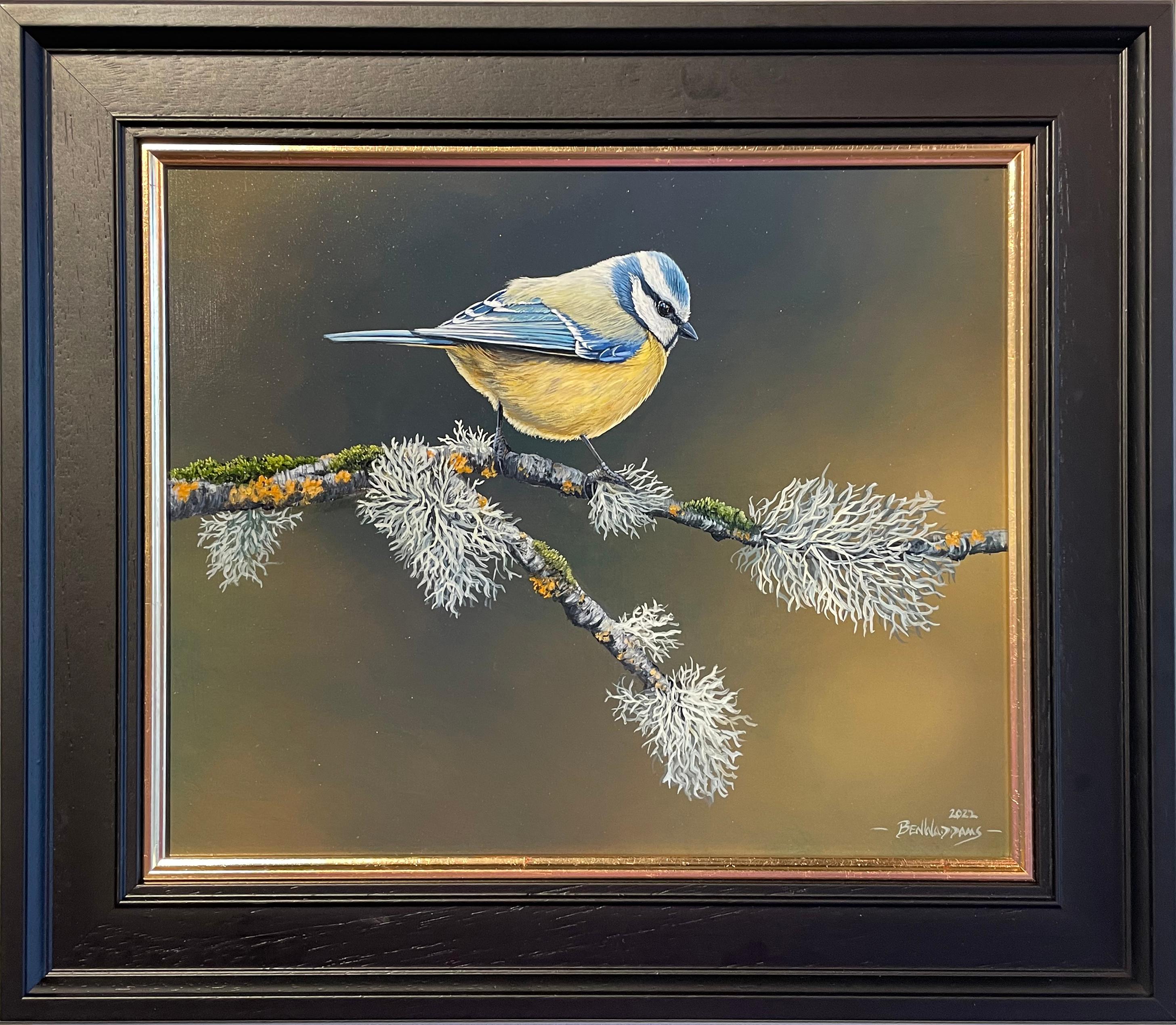 Ben Waddams Animal Painting – Balancing Act" Contemporary Photorealist painting of Blue Tit bird in the wild