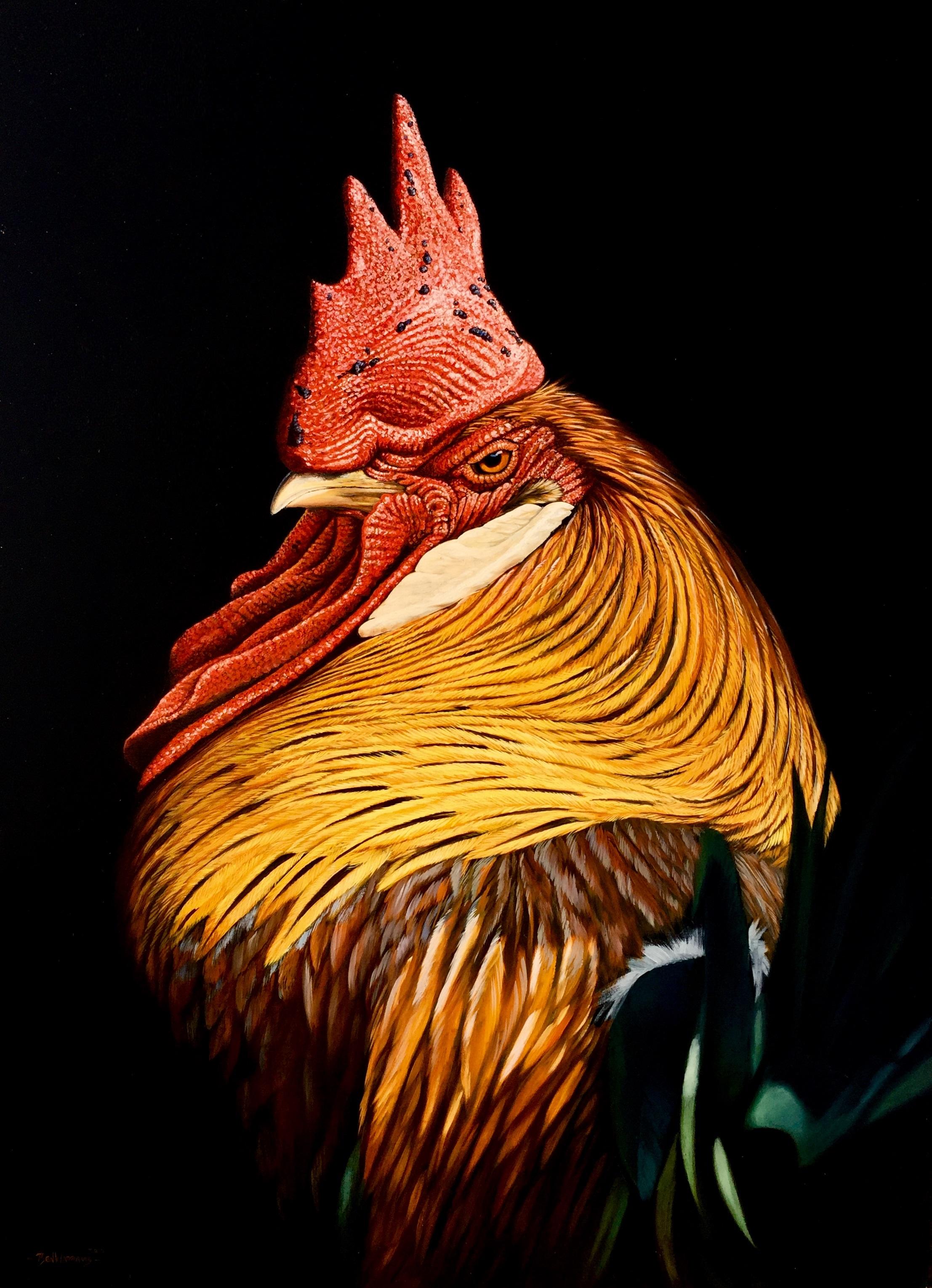 Fotorealistisches Gemälde „Cockerel“ mit einem bunten Vogel, rot, orange, grün, schwarz
