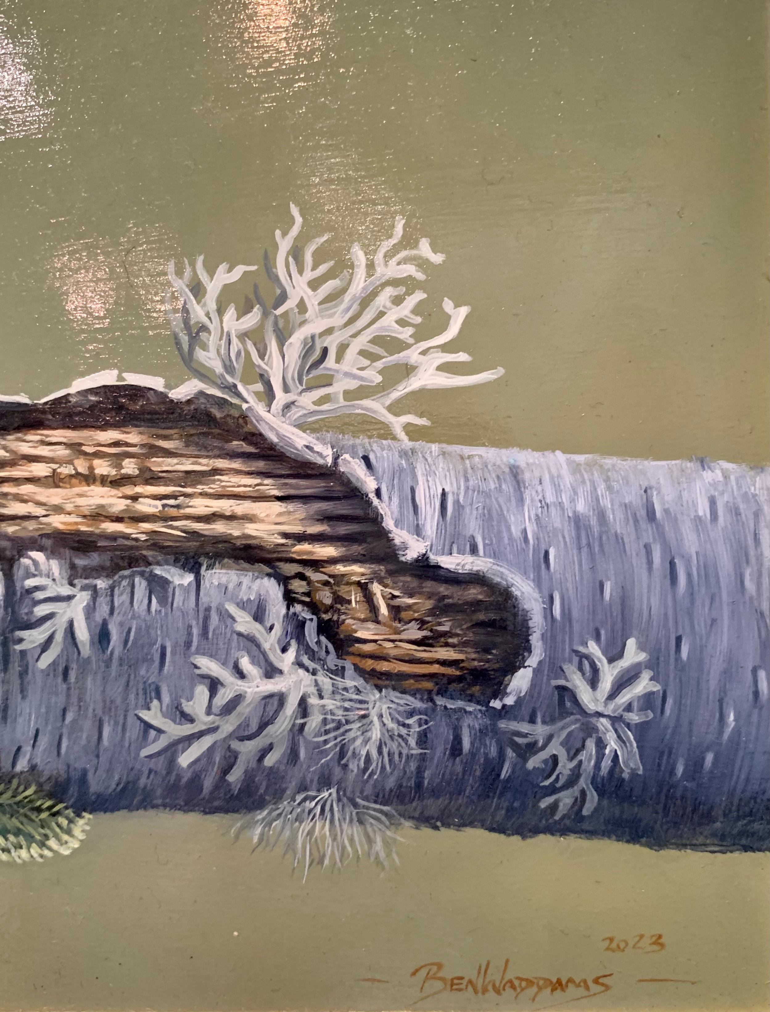 Fine della strada Quadro fotorealista di uno scoiattolo rosso sul ramo di un albero, verde - Animal Painting Marrone di Ben Waddams