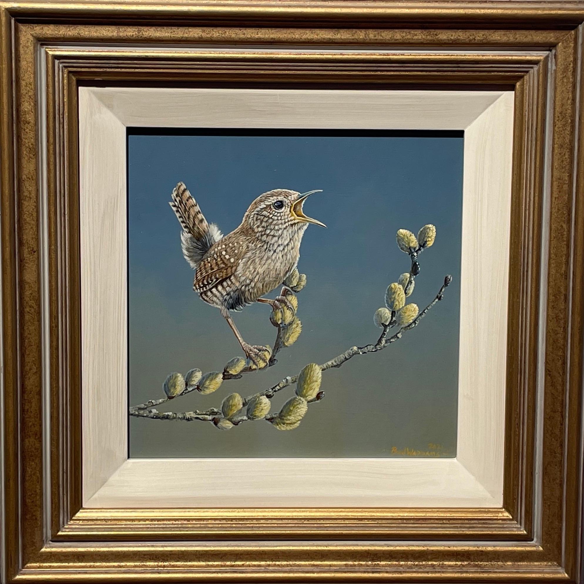 'Ever the Optimist' Contemporary photorealist painting of a Wren small bird wild - Painting by Ben Waddams
