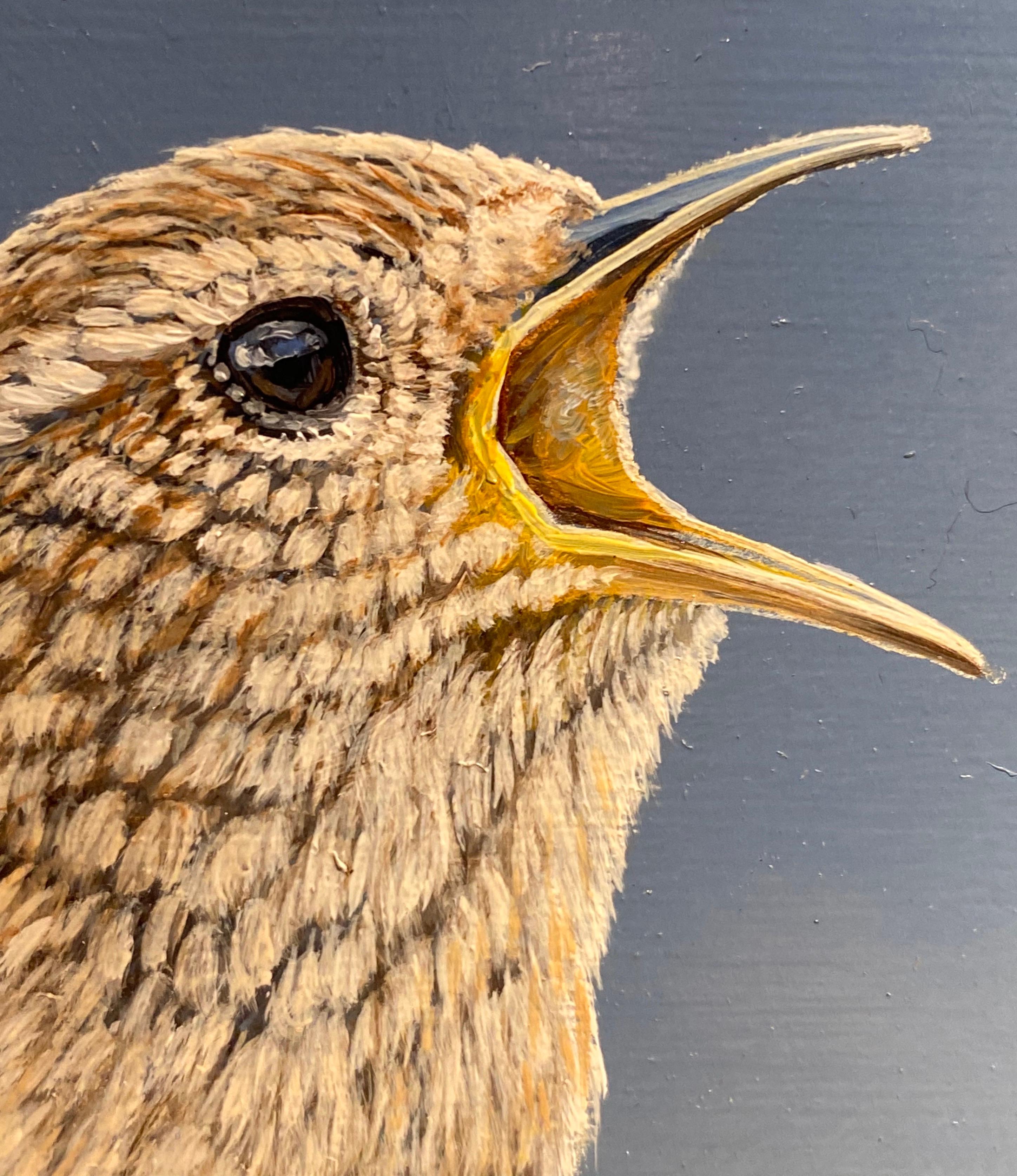 The Contemporary photorealist painting of a Wren small bird wild (peinture contemporaine photoréaliste d'un petit oiseau sauvage). en vente 1