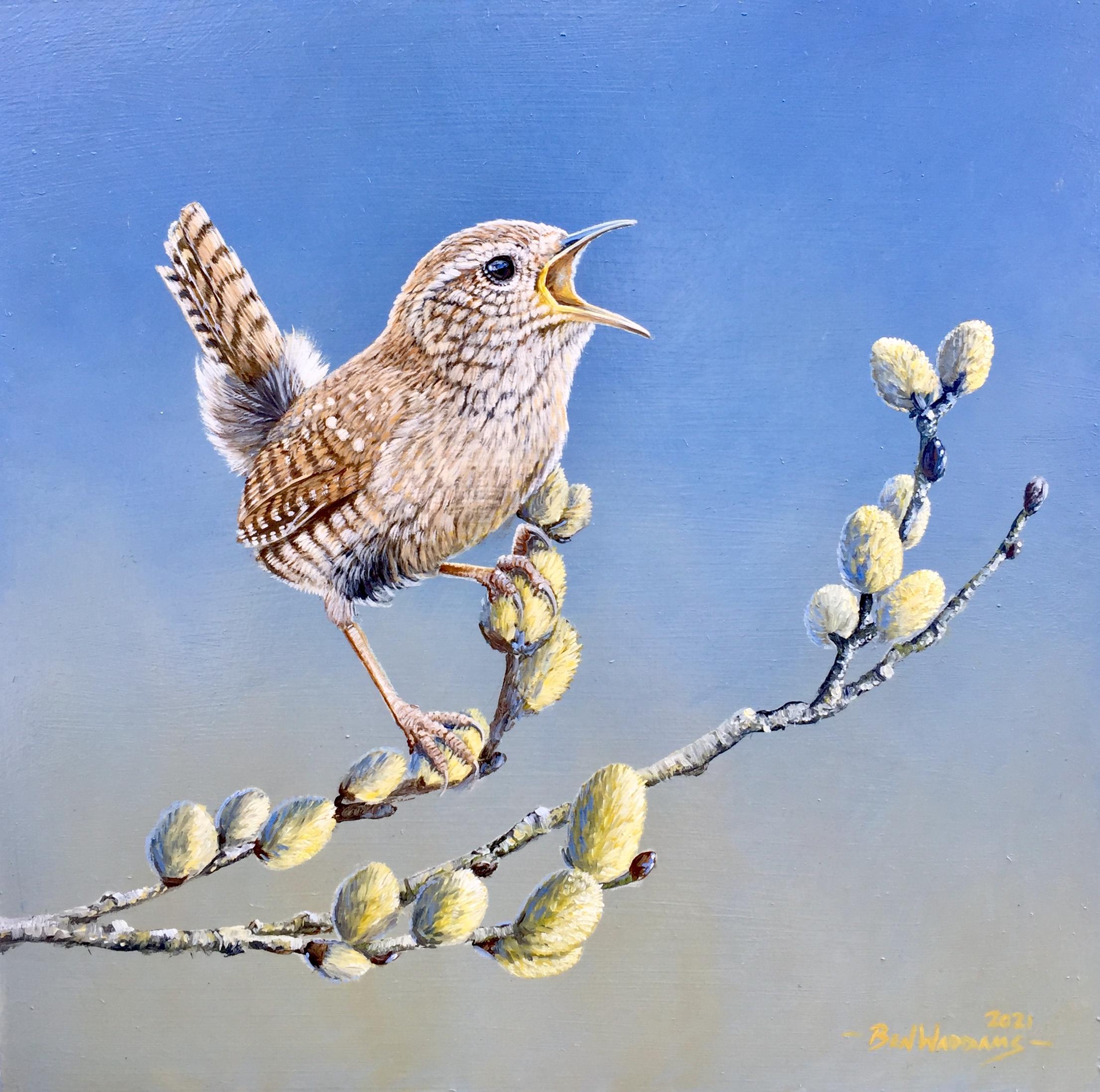 'Ever the Optimist' Contemporary photorealist painting of a Wren small bird wild