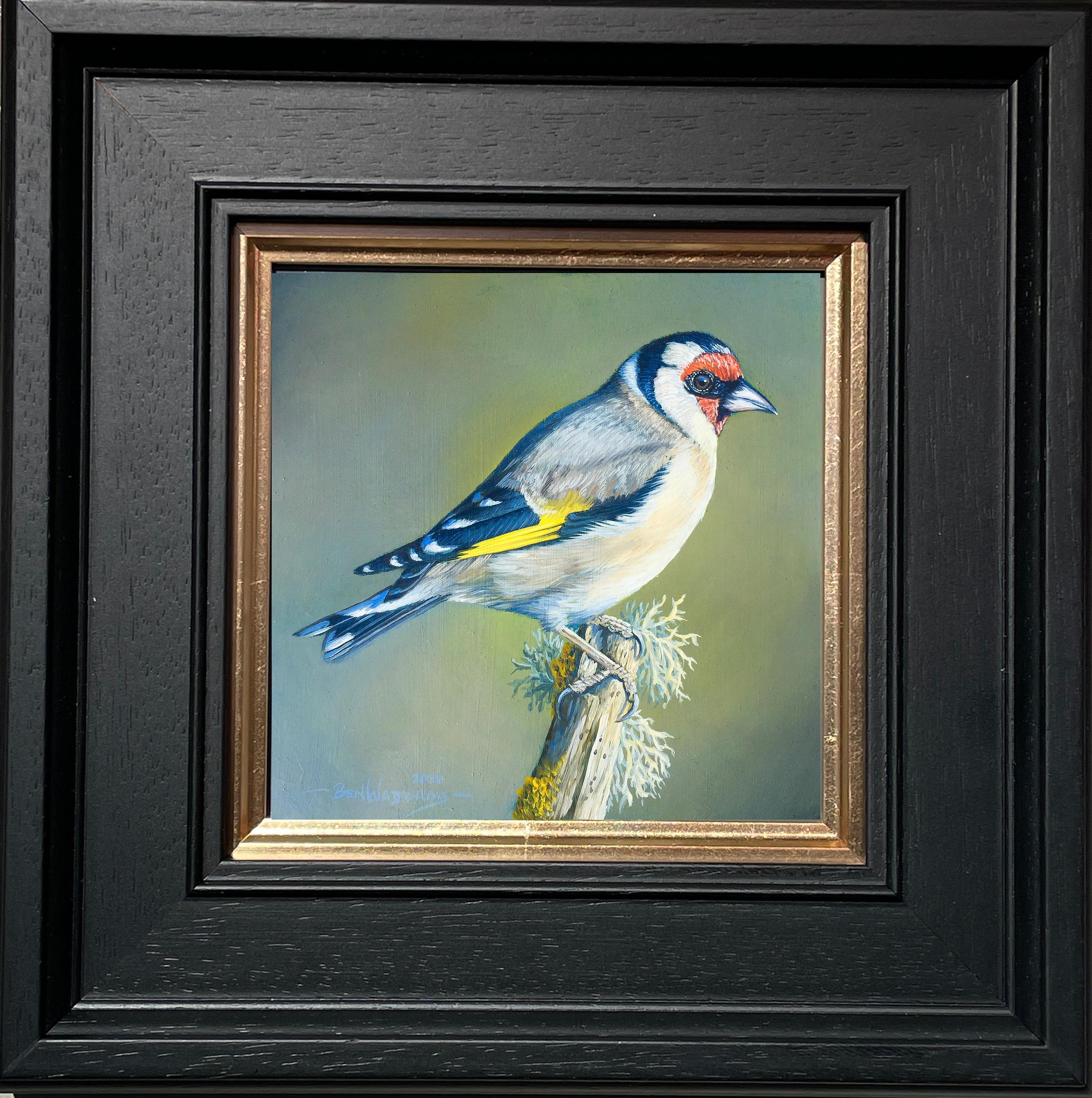 Ben Waddams Animal Painting - 'Goldfinch' Painting of a english small bird on a branch, red, yellow & green