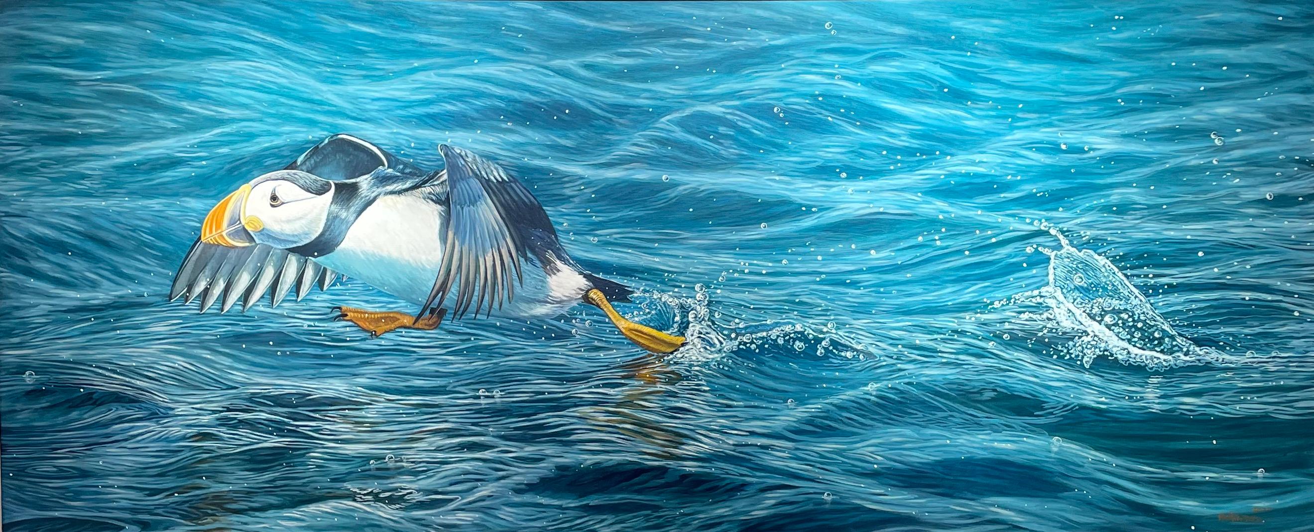 Ben Waddams Animal Painting – Fotorealistisches Wildtiergemälde „Leap of Faith“ eines Puffins auf leuchtend blauem Wasser
