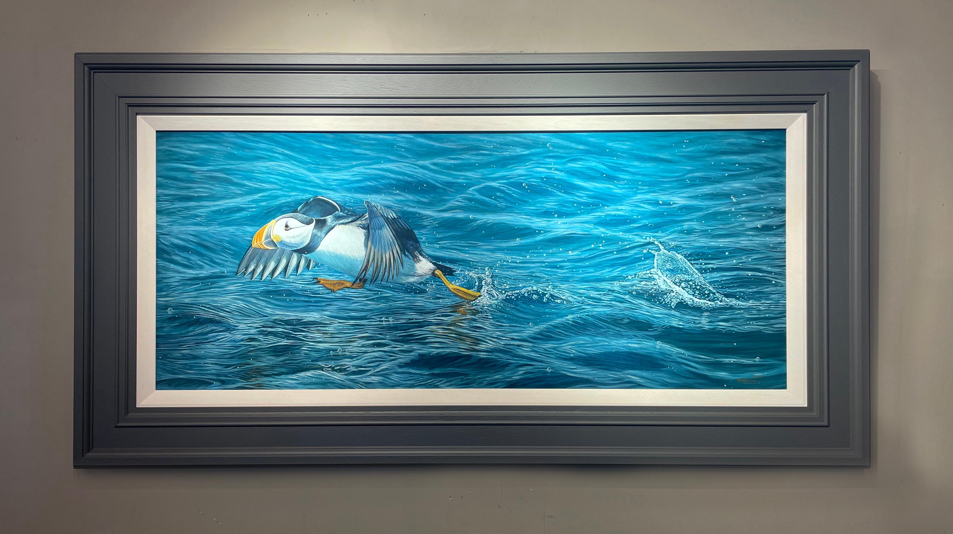Fotorealistisches Wildtiergemälde „Leap of Faith“ eines Puffins auf leuchtend blauem Wasser – Painting von Ben Waddams