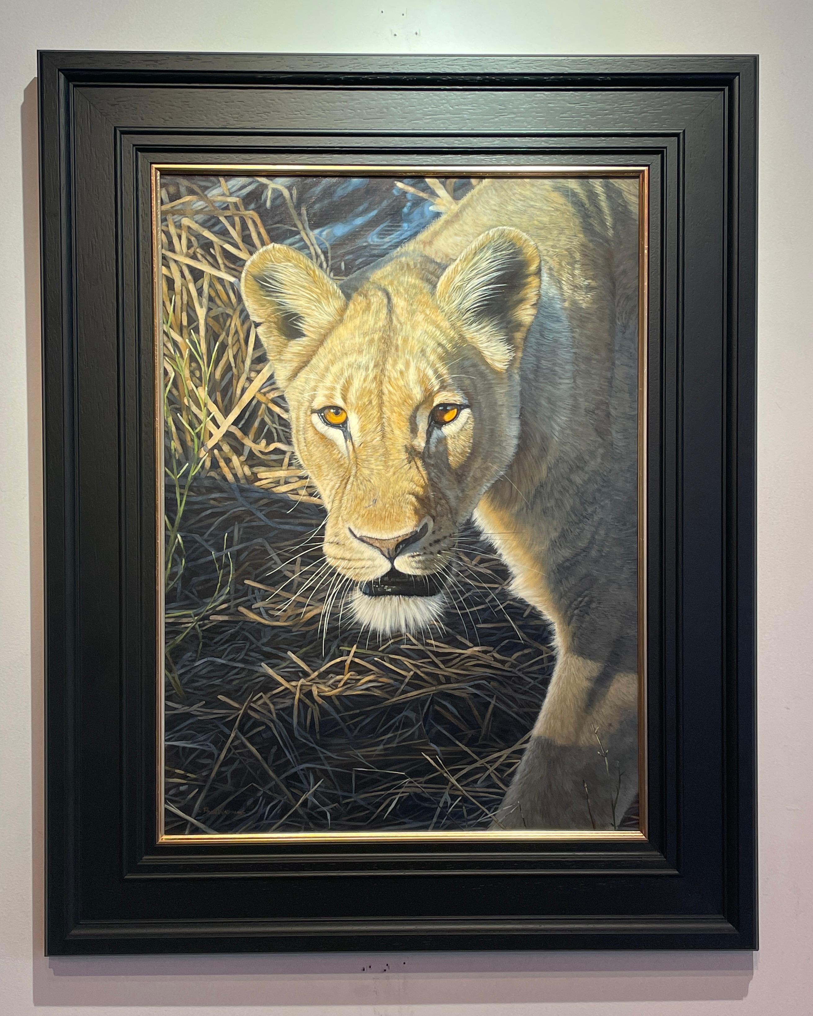 'Lioness' Contemporary Realist painting of a lioness stalking in the wild - Painting by Ben Waddams